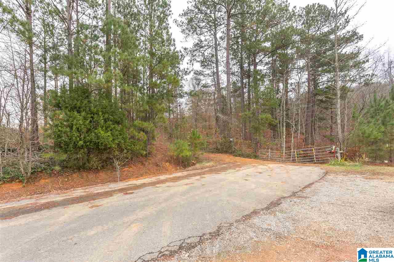 511 Tally Ho Road Anniston, AL 36207 - Photo 7 of 11