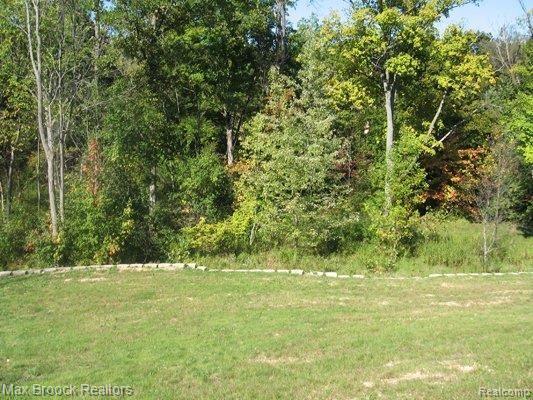 602 Riverside Birmingham, MI 48009 - Photo 5 of 7 Additional Lot 6 Photo