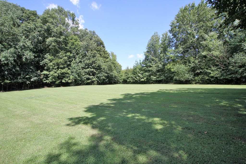 3670 H E Johnson Road Alvaton, KY 42122 - Photo 10 of 35 Gallery Image 10