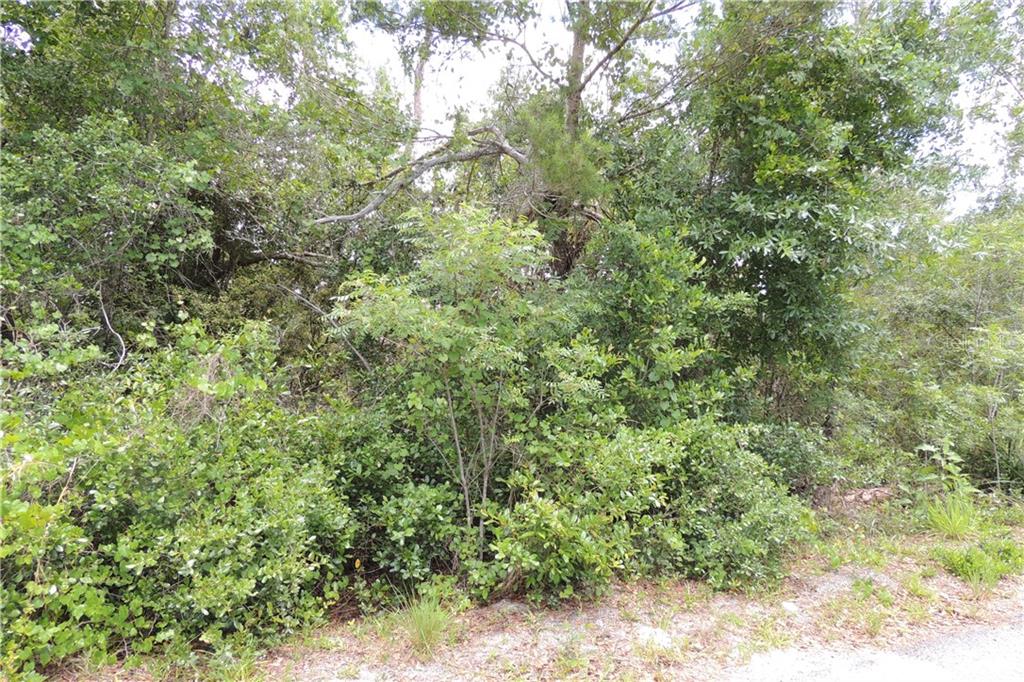 Laurianne Road DeBary, FL 32713 - Photo 1 of 1 Gallery Image 1