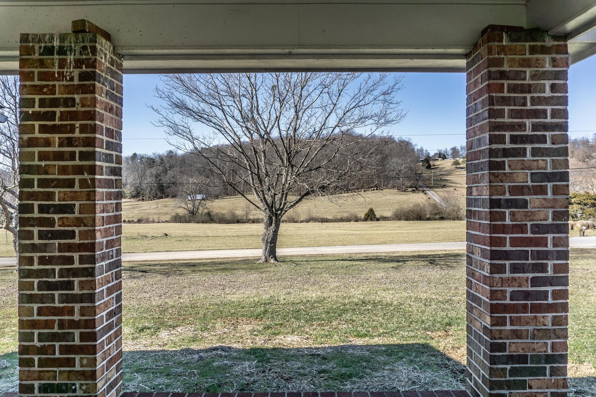 998 Harold Cemetery Road Greeneville, TN 37745 - Photo 37 of 75 998HaroldCemG_037