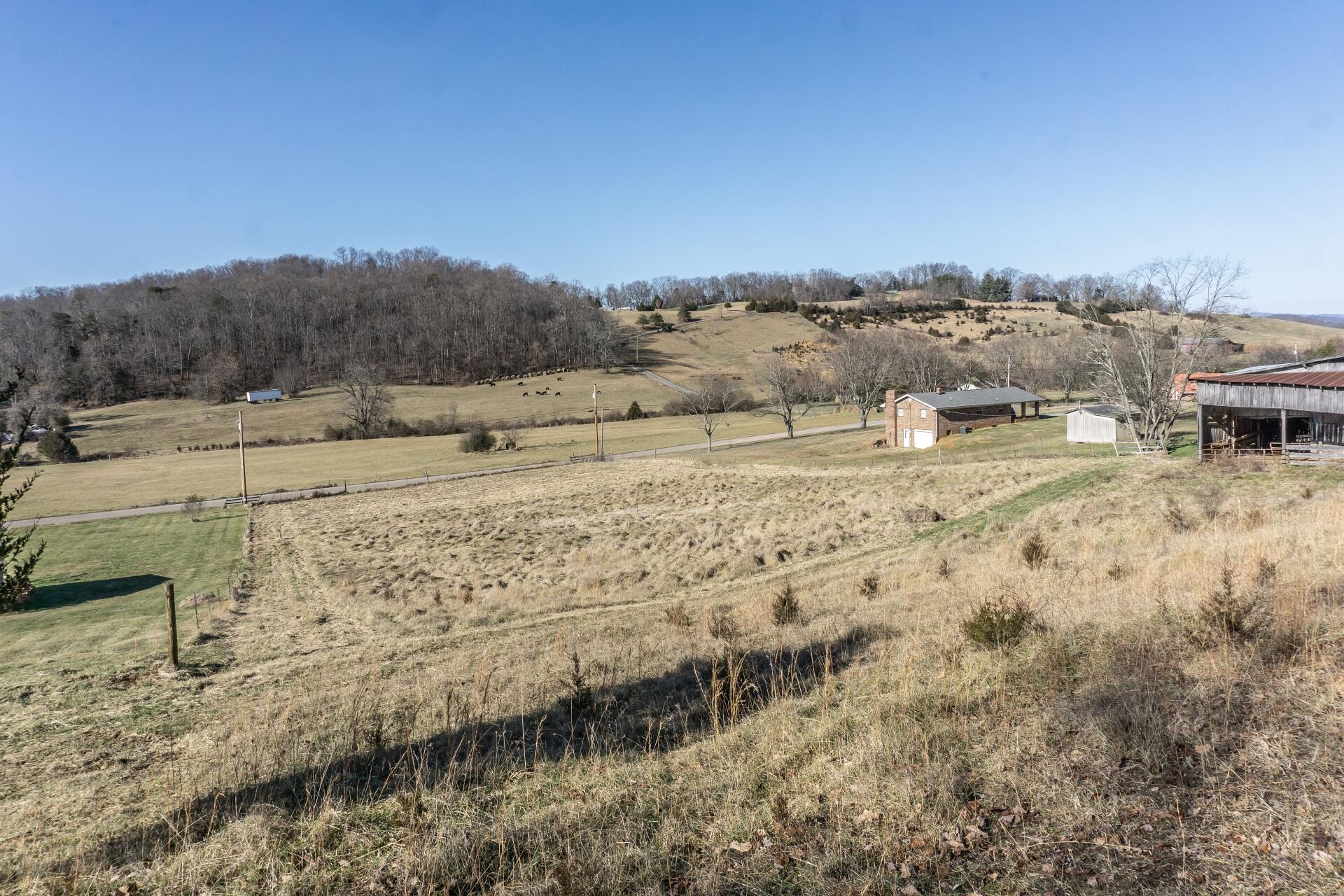 998 Harold Cemetery Road Greeneville, TN 37745 - Photo 55 of 75 998HaroldCemG_061