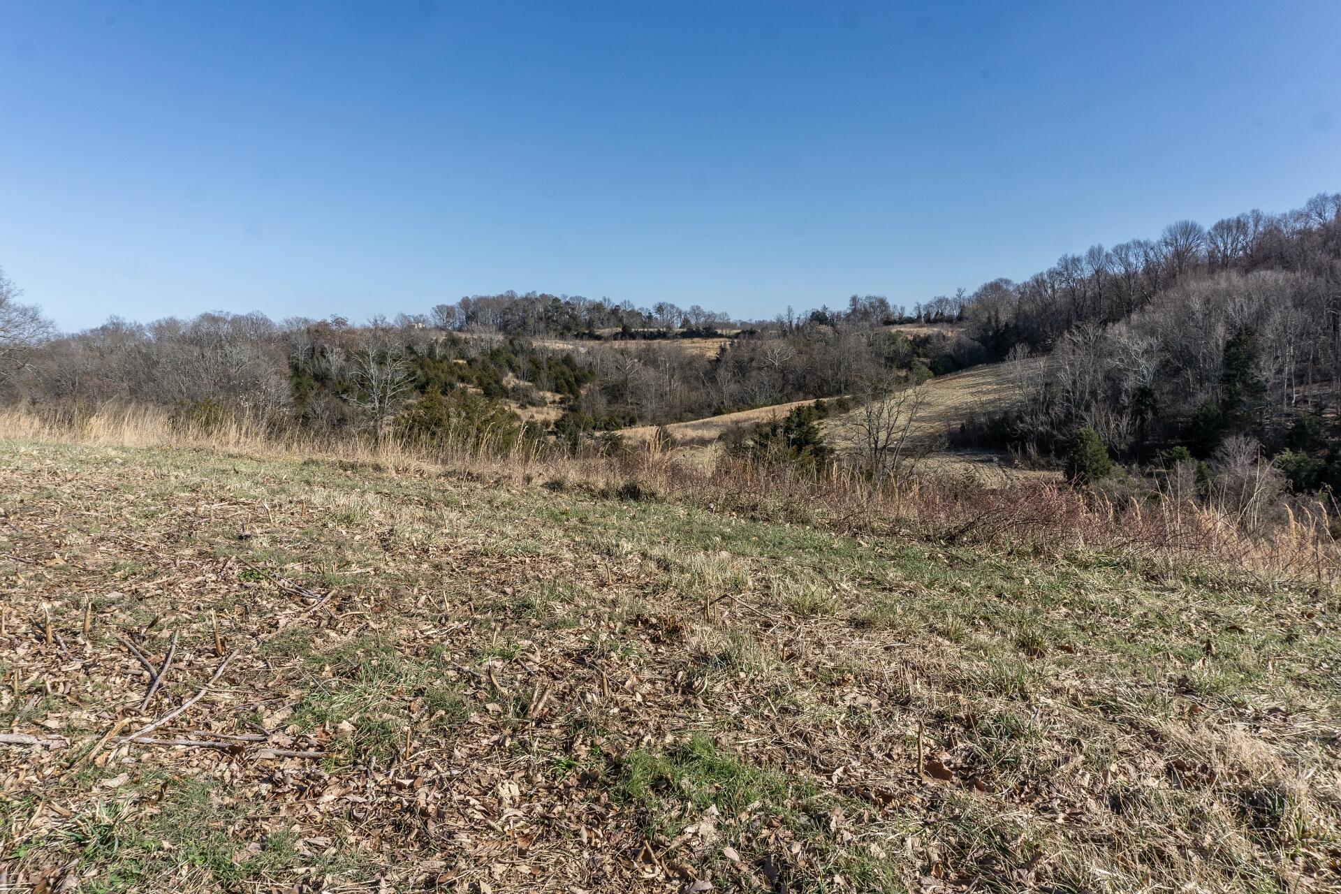 998 Harold Cemetery Road Greeneville, TN 37745 - Photo 58 of 75 998HaroldCemG_064
