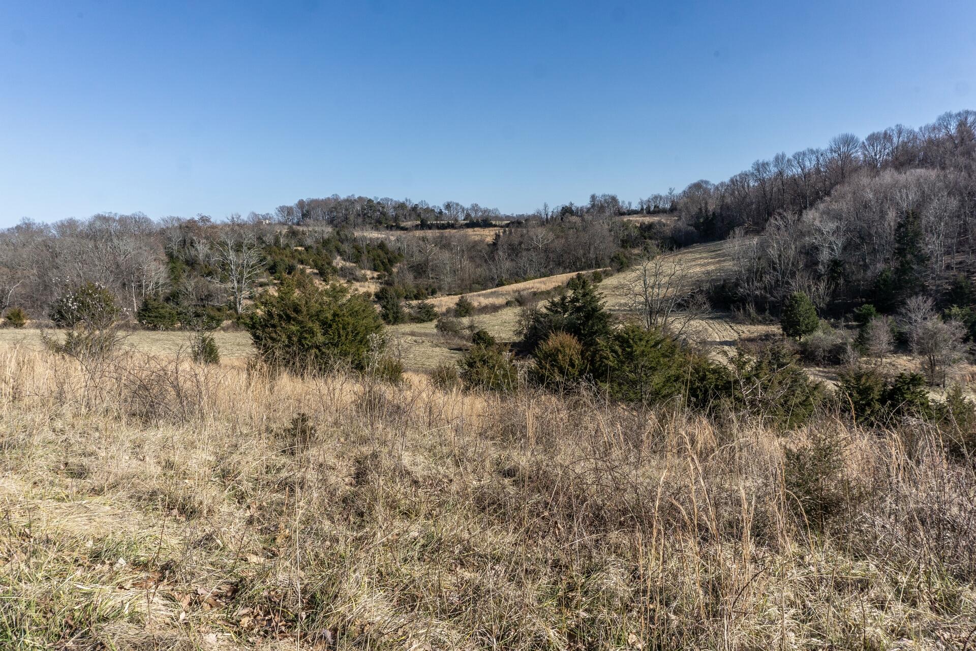 998 Harold Cemetery Road Greeneville, TN 37745 - Photo 59 of 75 998HaroldCemG_065