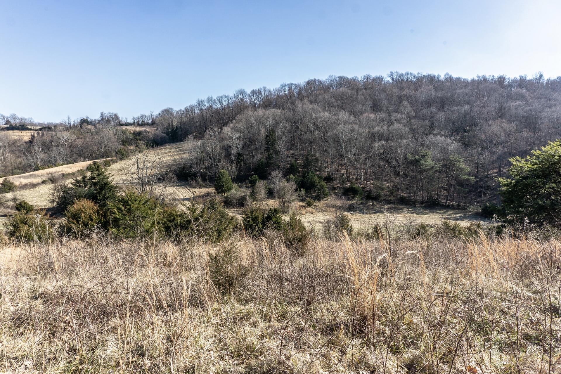 998 Harold Cemetery Road Greeneville, TN 37745 - Photo 60 of 75 998HaroldCemG_066