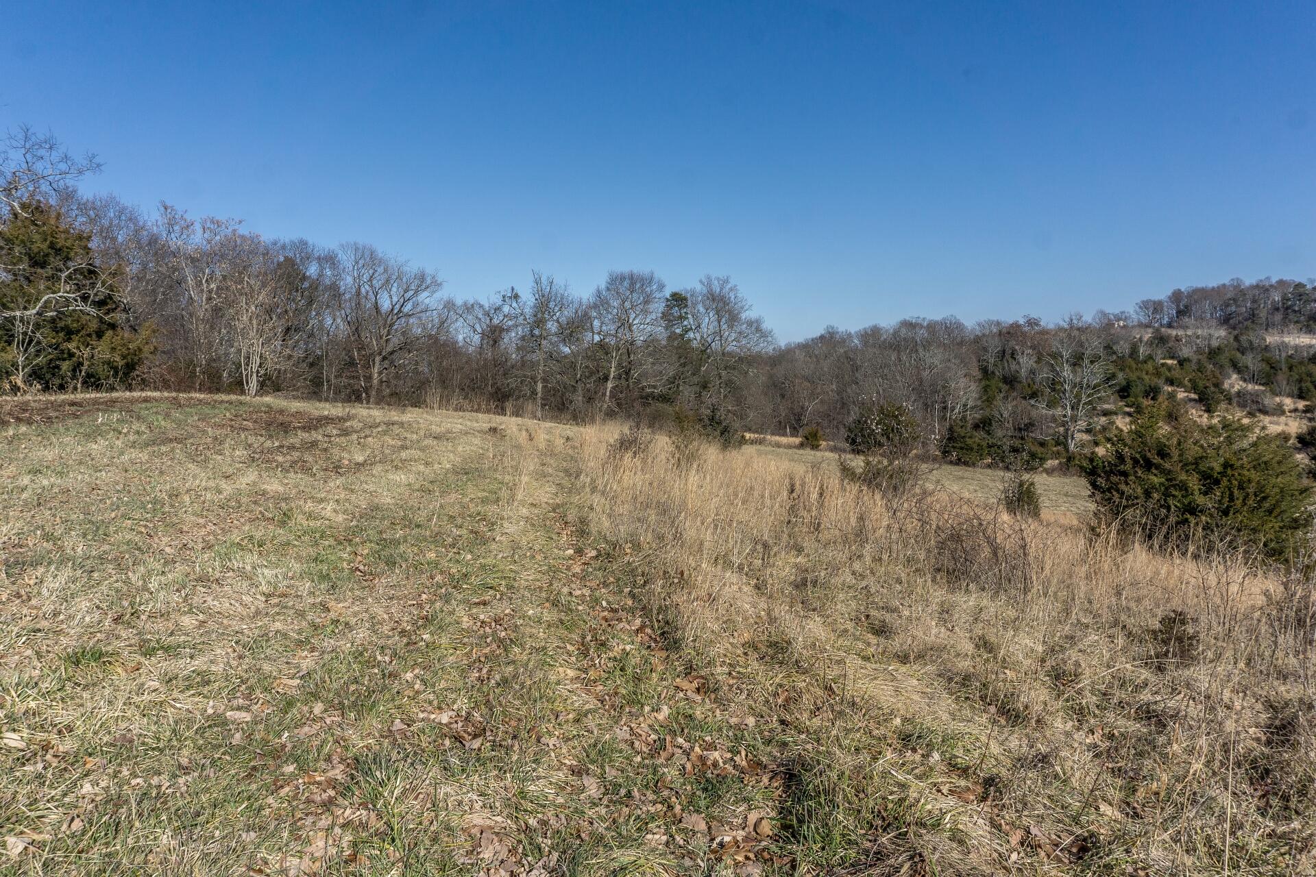 998 Harold Cemetery Road Greeneville, TN 37745 - Photo 62 of 75 998HaroldCemG_068