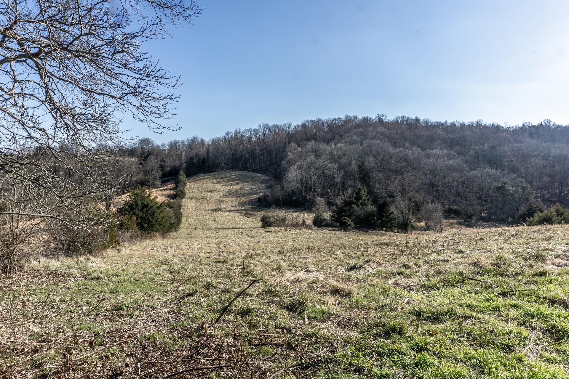 998 Harold Cemetery Road Greeneville, TN 37745 - Photo 63 of 75 998HaroldCemG_069