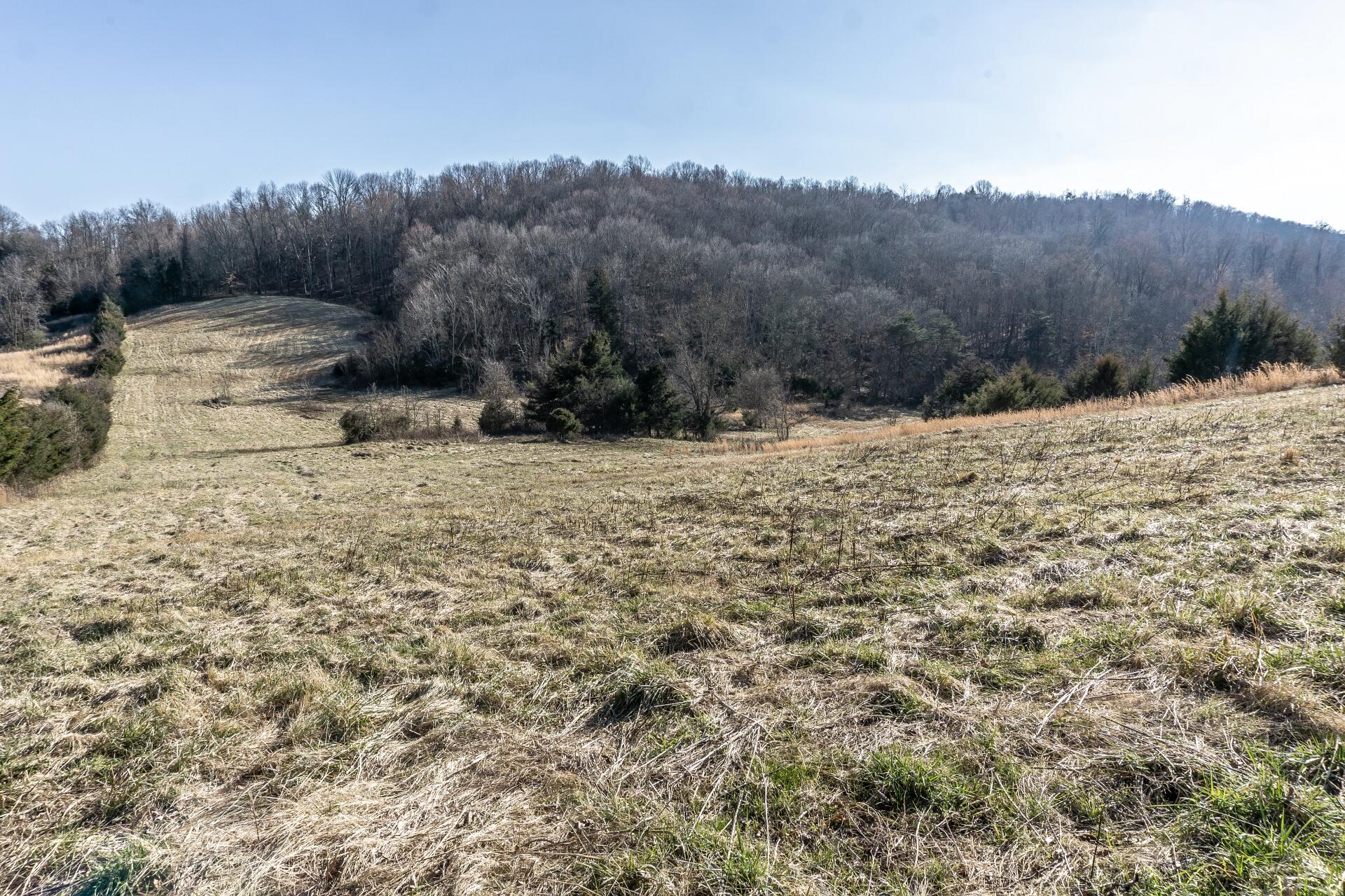 998 Harold Cemetery Road Greeneville, TN 37745 - Photo 64 of 75 998HaroldCemG_070