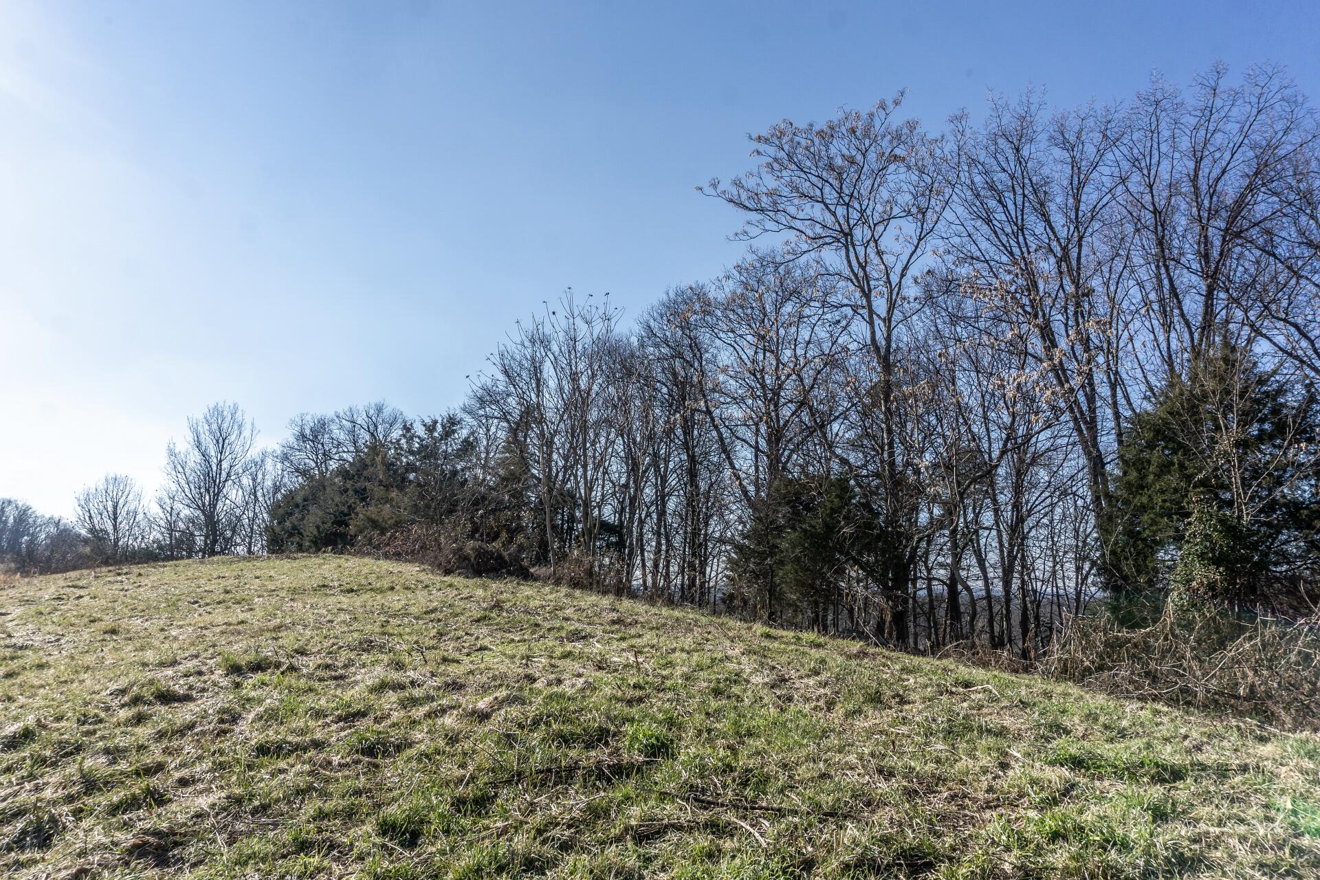 998 Harold Cemetery Road Greeneville, TN 37745 - Photo 65 of 75 998HaroldCemG_071