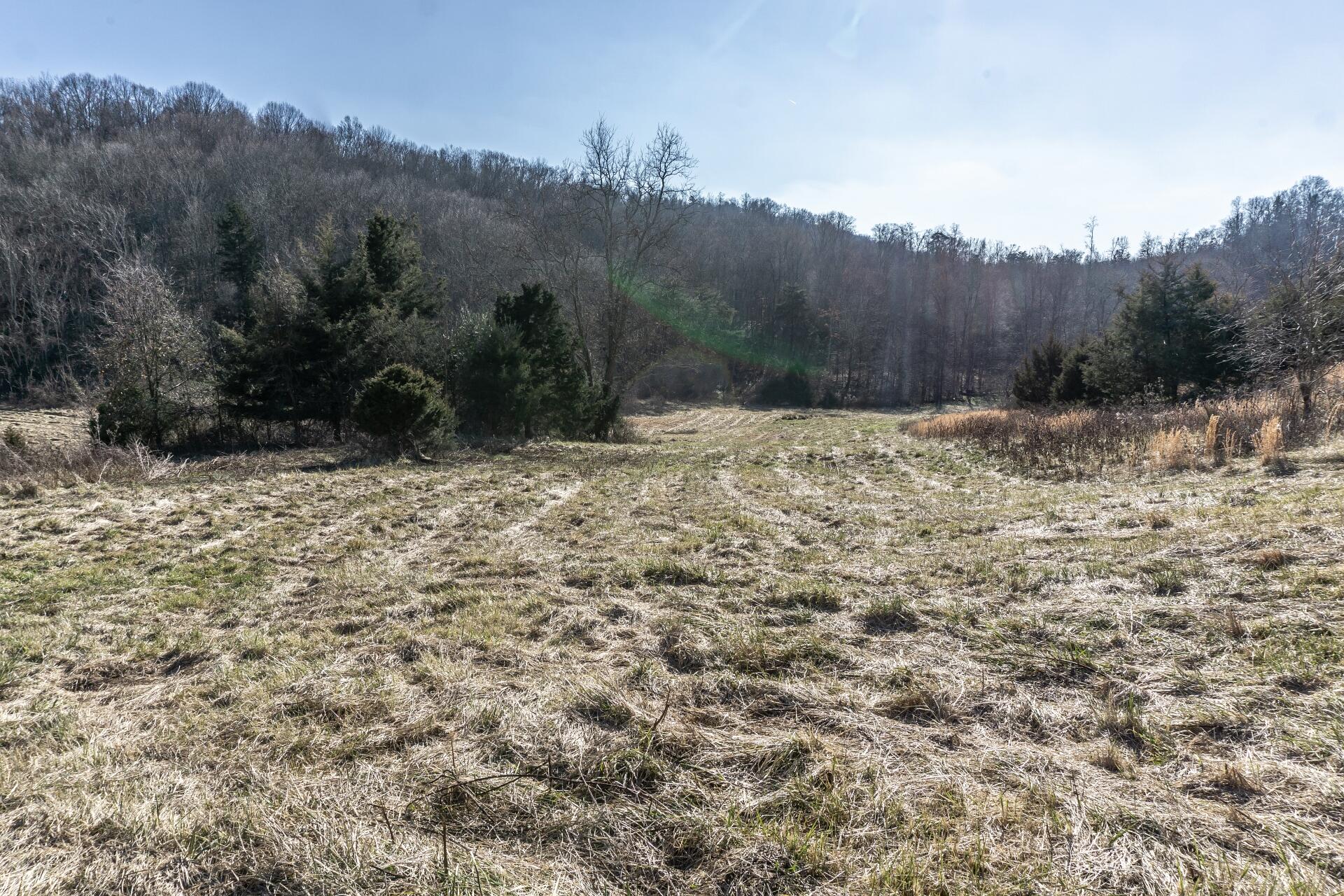 998 Harold Cemetery Road Greeneville, TN 37745 - Photo 66 of 75 998HaroldCemG_072