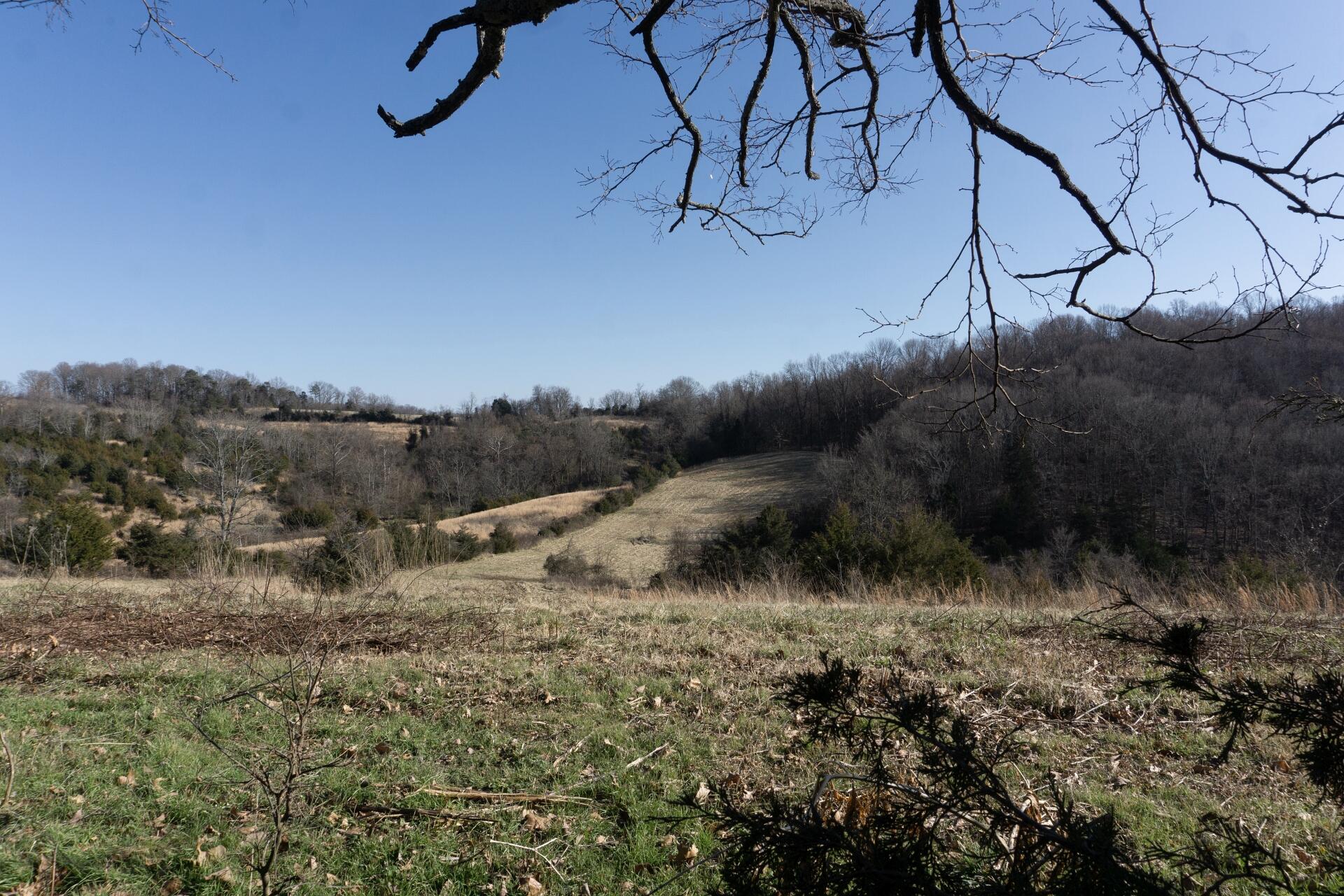 998 Harold Cemetery Road Greeneville, TN 37745 - Photo 69 of 75 998HaroldCemG_077