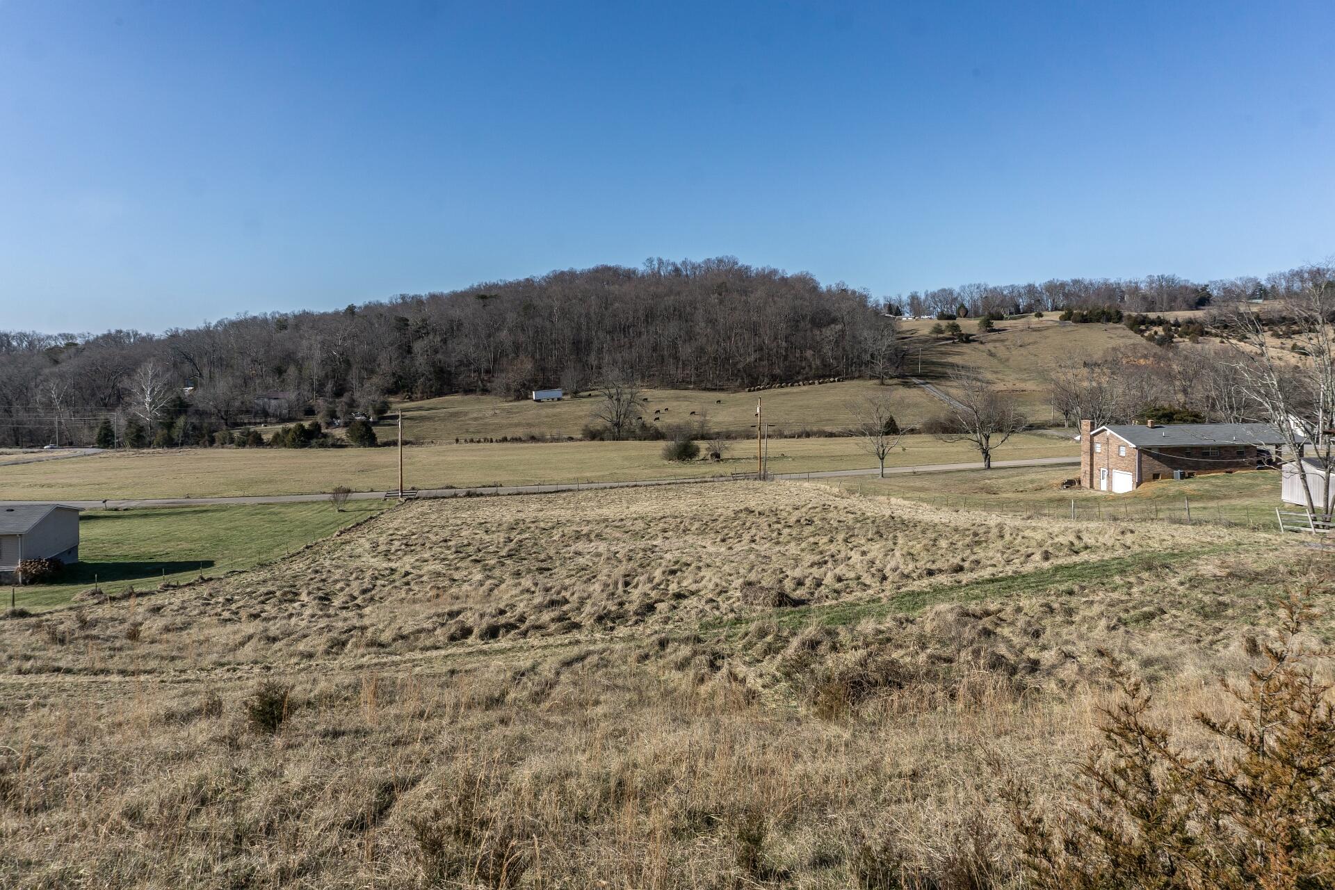 998 Harold Cemetery Road Greeneville, TN 37745 - Photo 73 of 75 998HaroldCemG_080