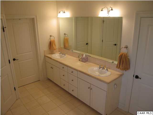 1546 Dairy Road Charlottesville, VA 22903 - Photo 8 of 19 Master bath.