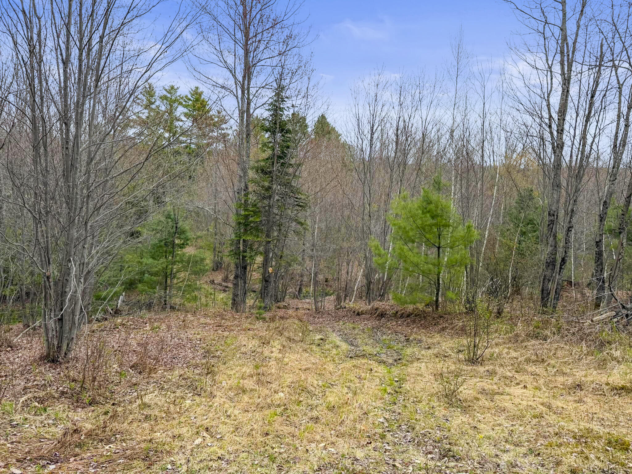 64 Coburn Road Carthage, ME 04224 - Photo 30 of 44