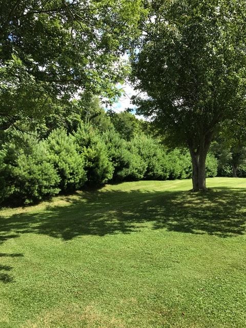 6825 West Eller Road Bloomington, IN 47403 - Photo 23 of 26