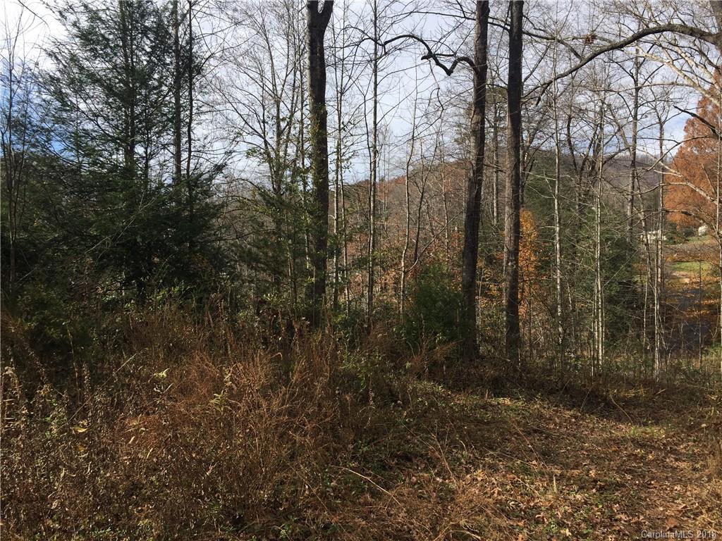 176 Mashburn Branch Road Old Fort, NC 28762 - Photo 1 of 6