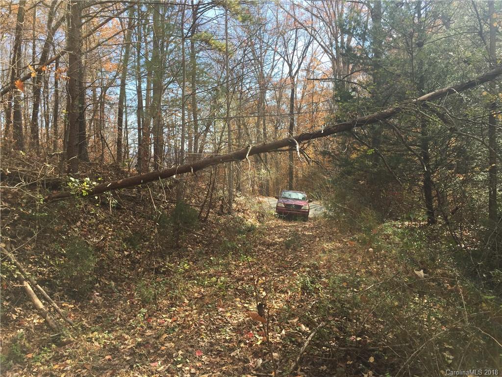 176 Mashburn Branch Road Old Fort, NC 28762 - Photo 2 of 6