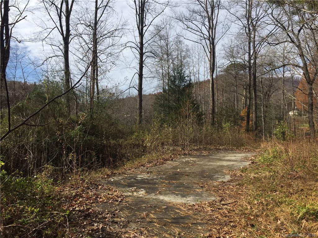 176 Mashburn Branch Road Old Fort, NC 28762 - Photo 3 of 6