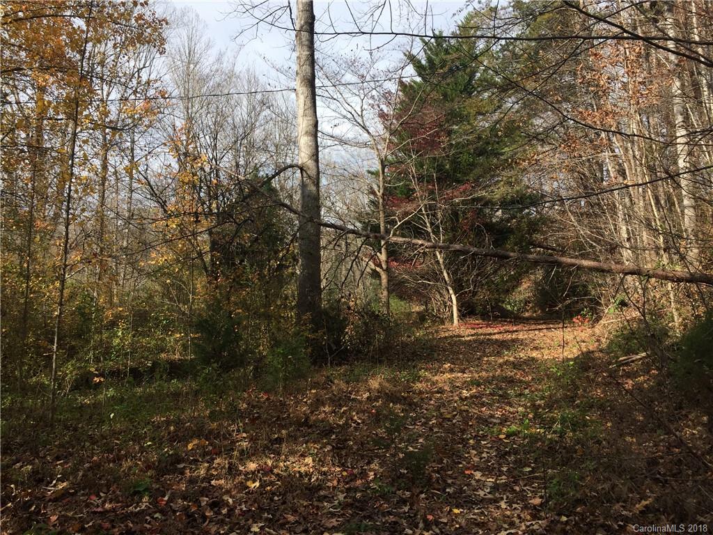 176 Mashburn Branch Road Old Fort, NC 28762 - Photo 5 of 6