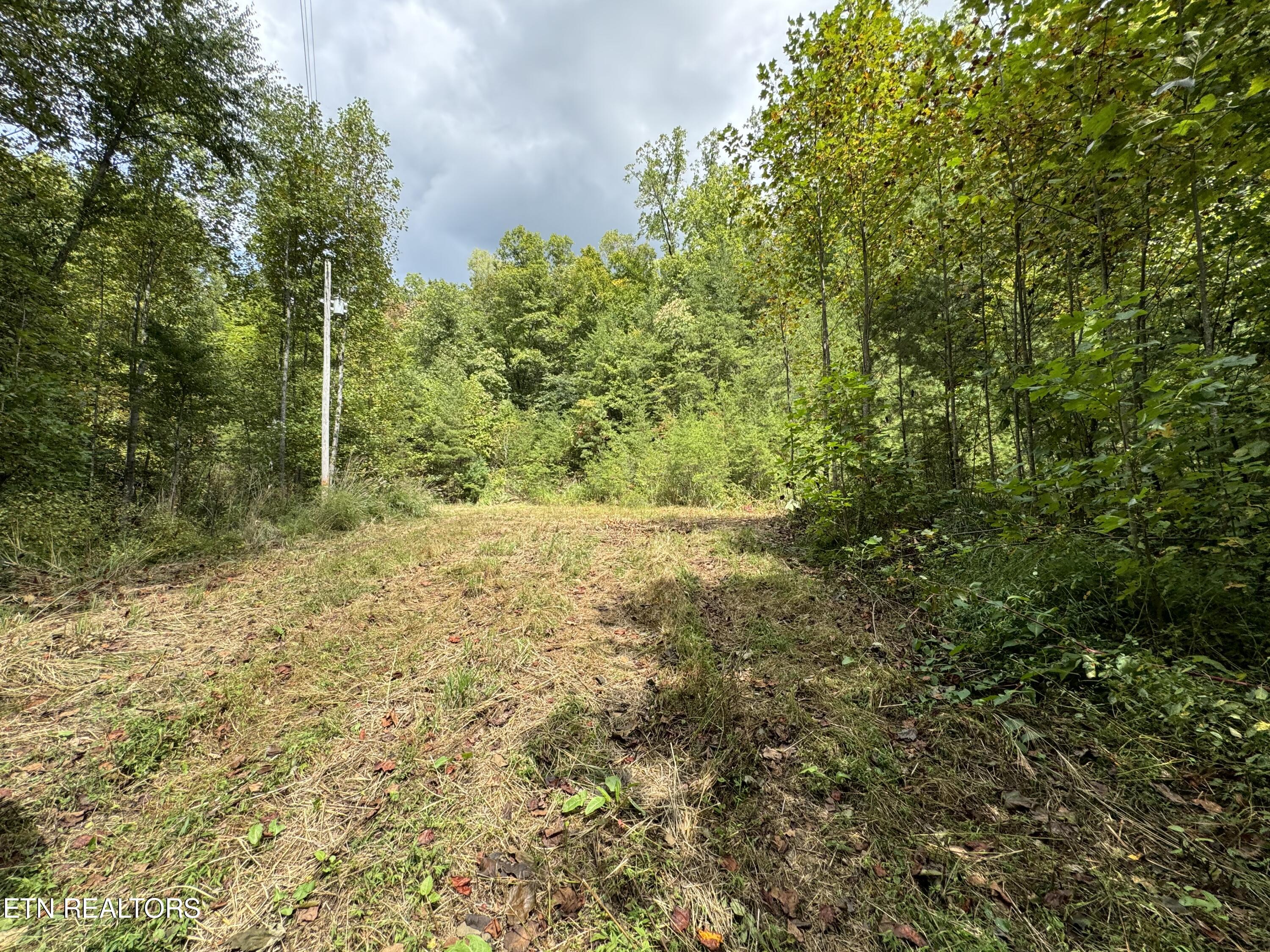4031 Trail Hollow Road Cosby, TN 37722 - Photo 1 of 22 IMG_3793