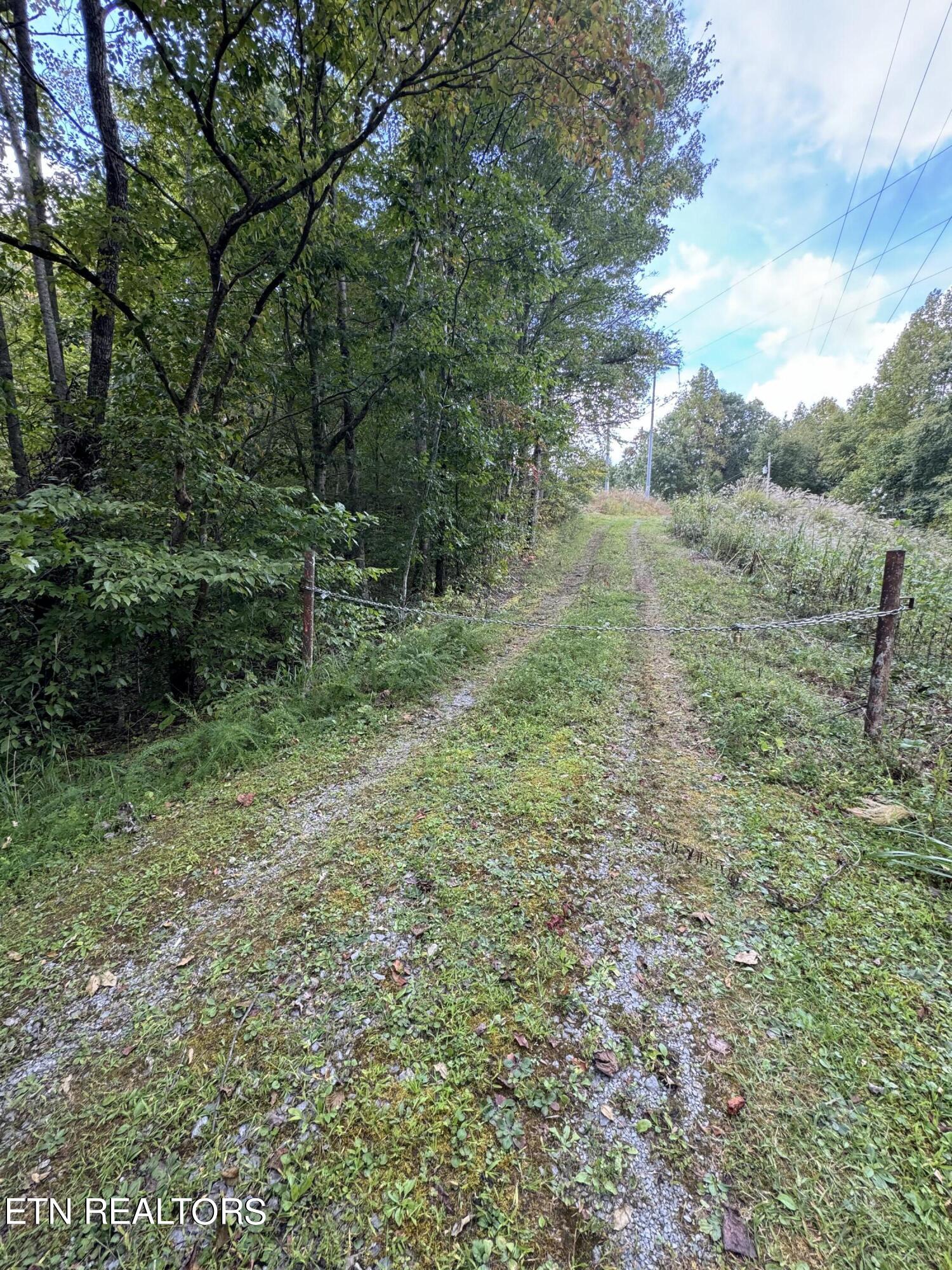 4031 Trail Hollow Road Cosby, TN 37722 - Photo 6 of 22 IMG_3804