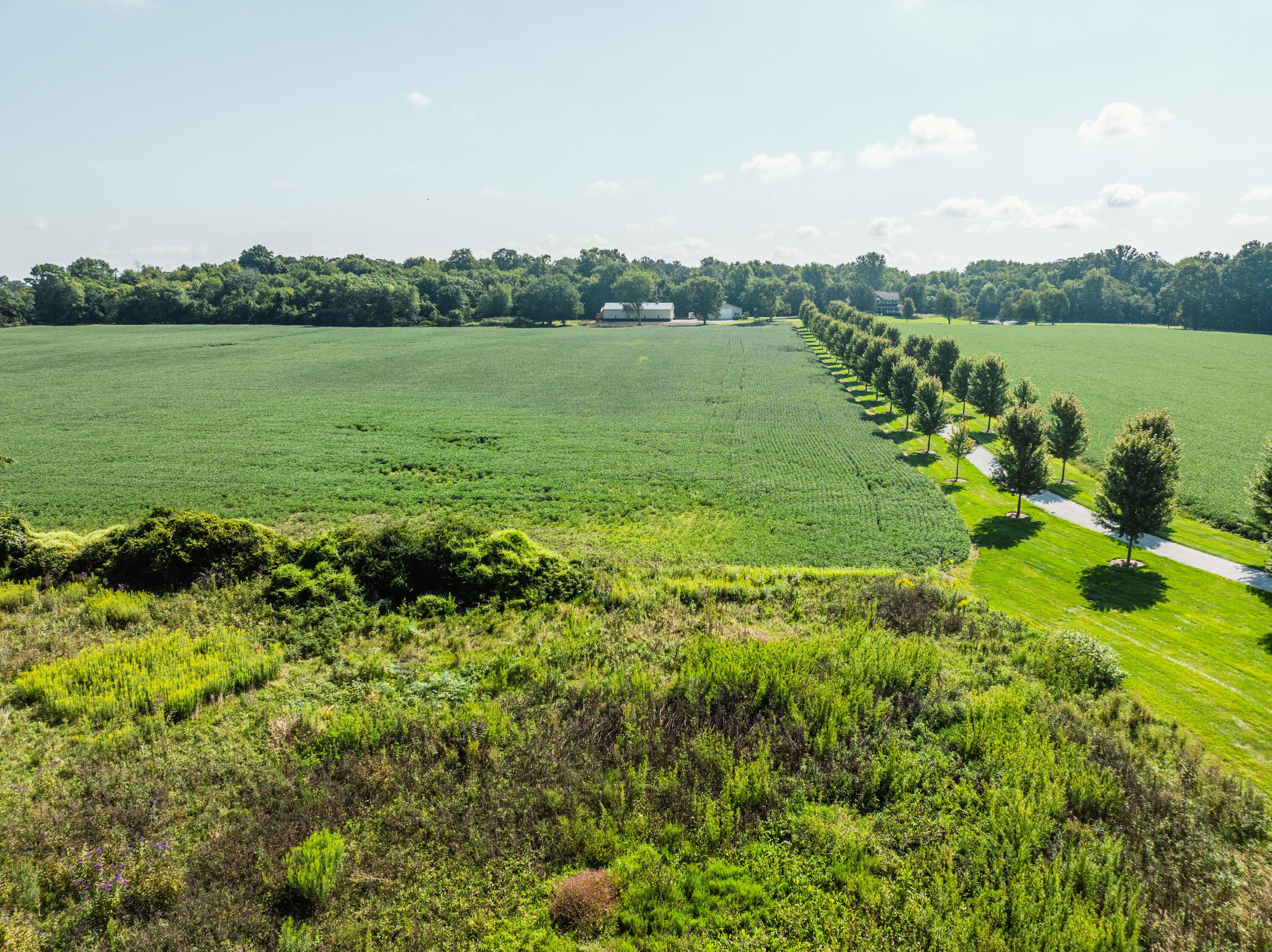 0 Sycamore Road Centerburg, OH 43011 - Photo 62 of 69 DJI_20260827154623_0907_D