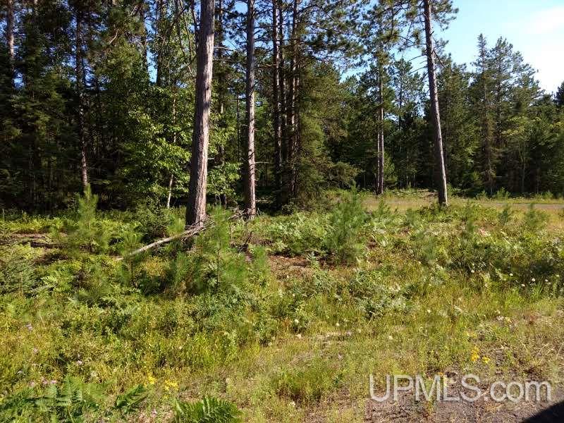 Unit 38-tbd Little Rice Lake Road, Unit 38 Lake Linden, MI 49945 - Photo 4 of 28