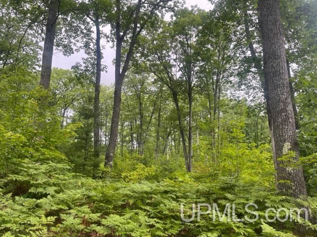 565 County Road 565 Road Gwinn, MI 49841 - Photo 20 of 35