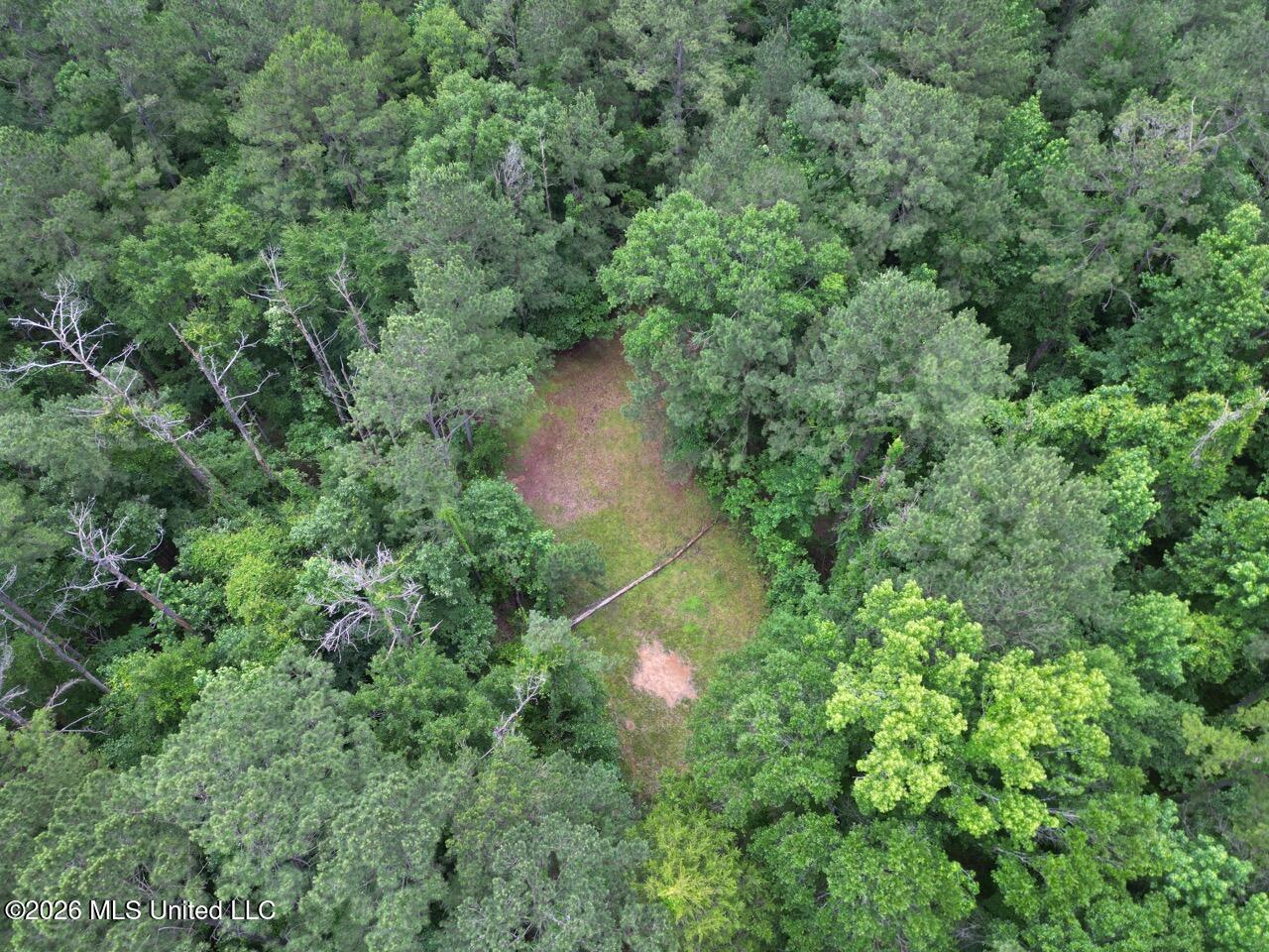 2986 Oldenburg Road Meadville, MS 39653 - Photo 7 of 44 DJI_0376 Large