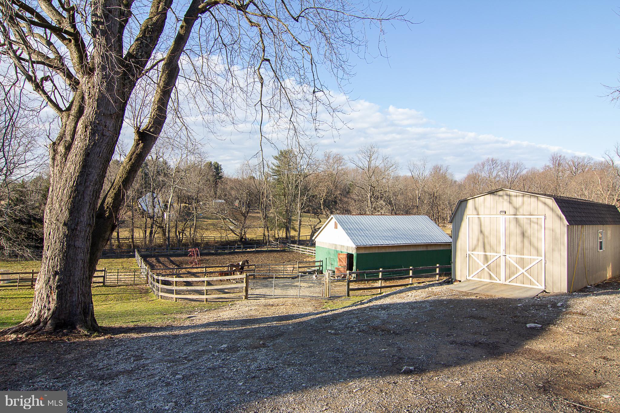 17106 Frederick Road Mount Airy, MD 21771 - Photo 34 of 46 Shed/Workshop Exterior lighting from house to BARN
