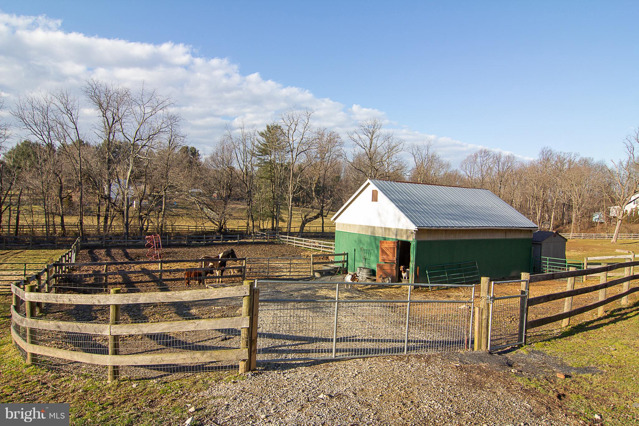 17106 Frederick Road Mount Airy, MD 21771 - Photo 37 of 46 Bring the ANIMALS!