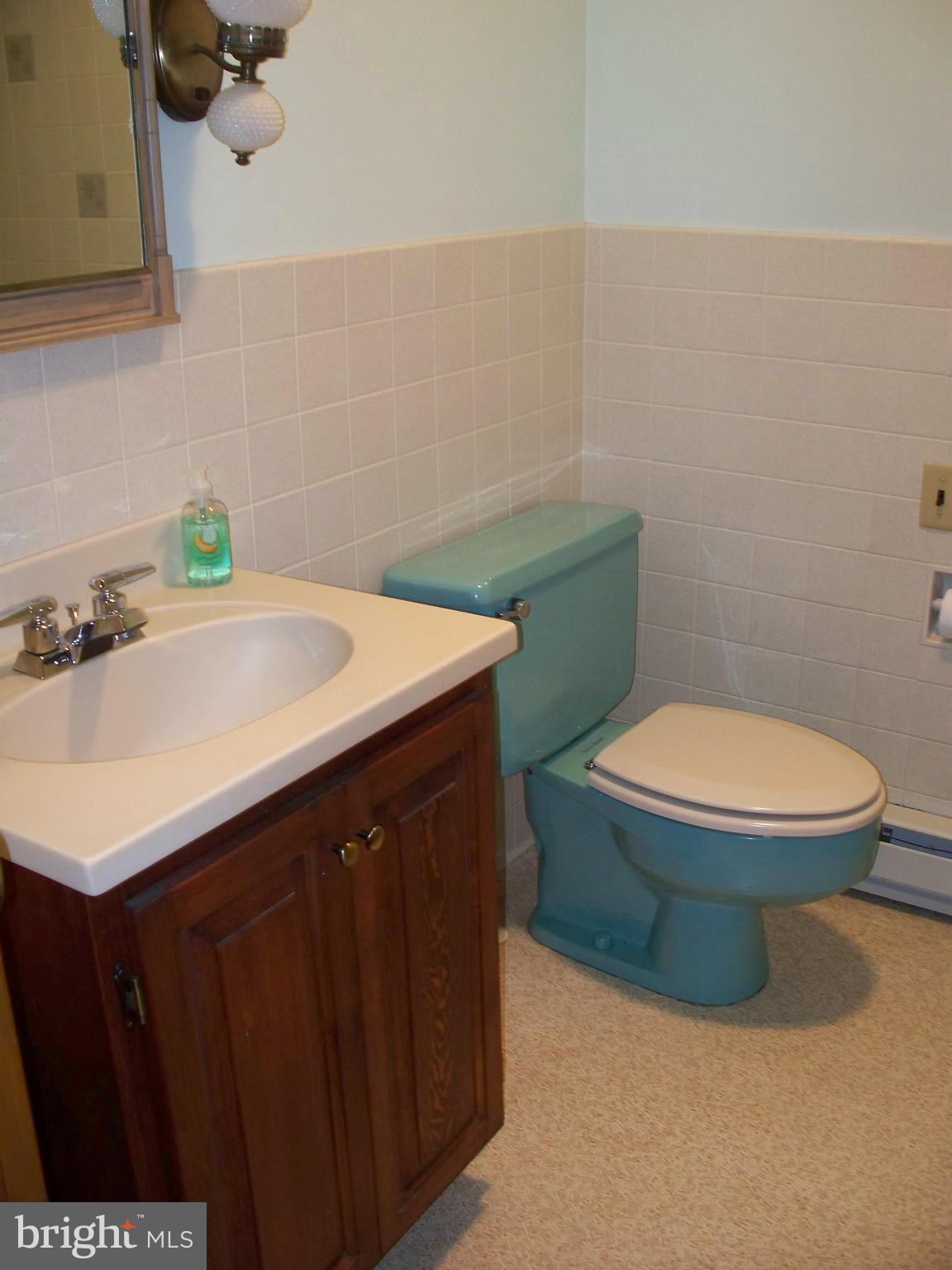 303 St Marys Road Pylesville, MD 21132 - Photo 25 of 30 Hall Bathroom