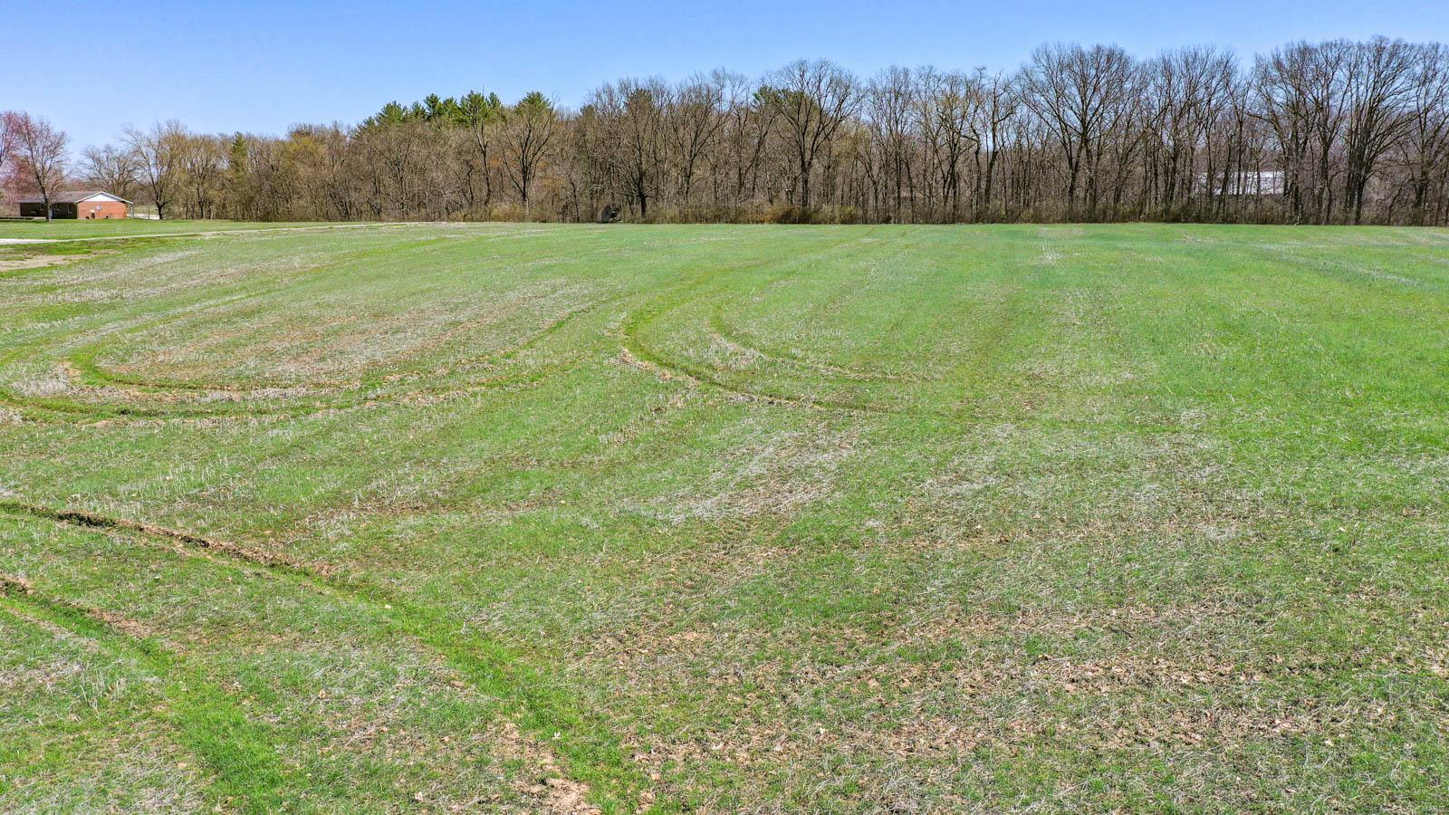 0 Snake Road Dorsey, IL 62021 - Photo 11 of 12
