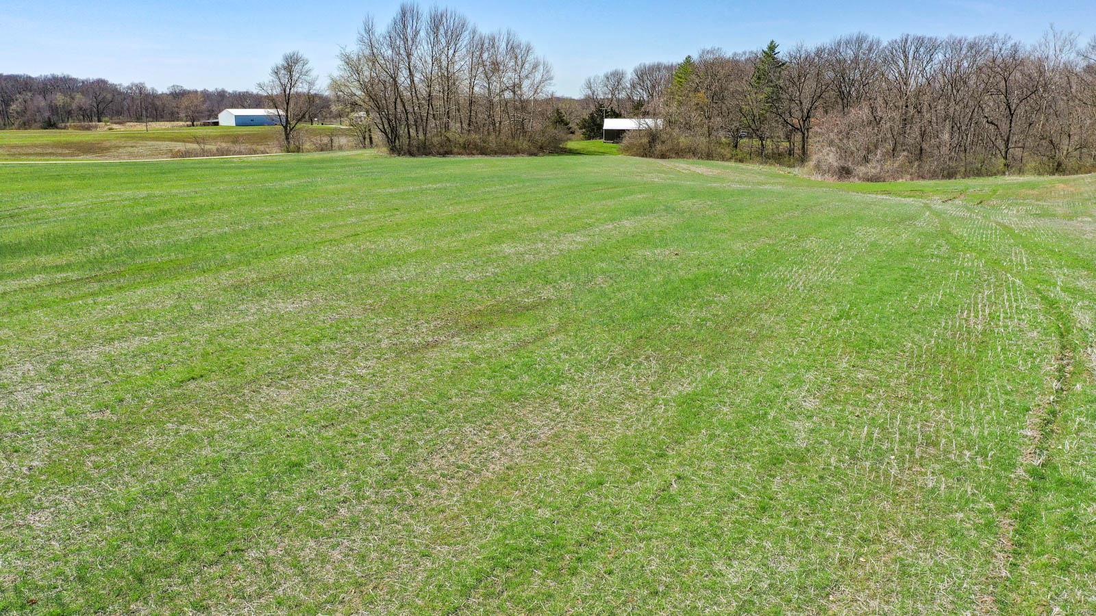 0 Snake Road Dorsey, IL 62021 - Photo 12 of 12