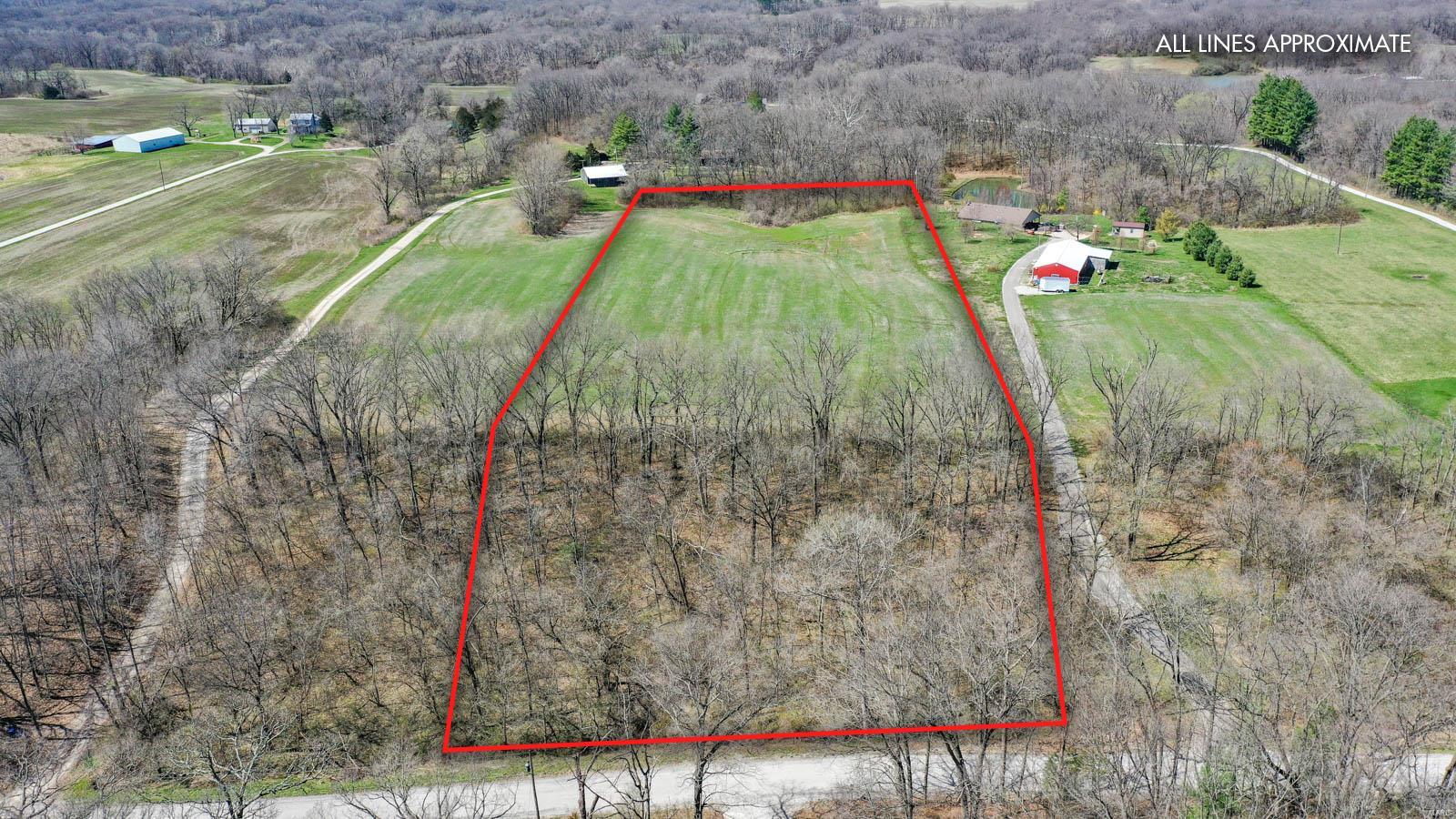 0 Snake Road Dorsey, IL 62021 - Photo 3 of 12