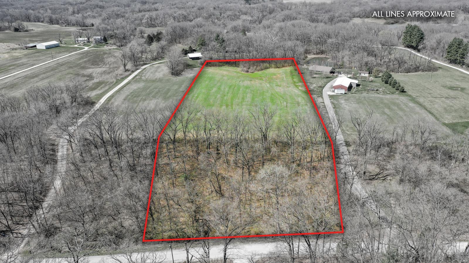 0 Snake Road Dorsey, IL 62021 - Photo 4 of 12