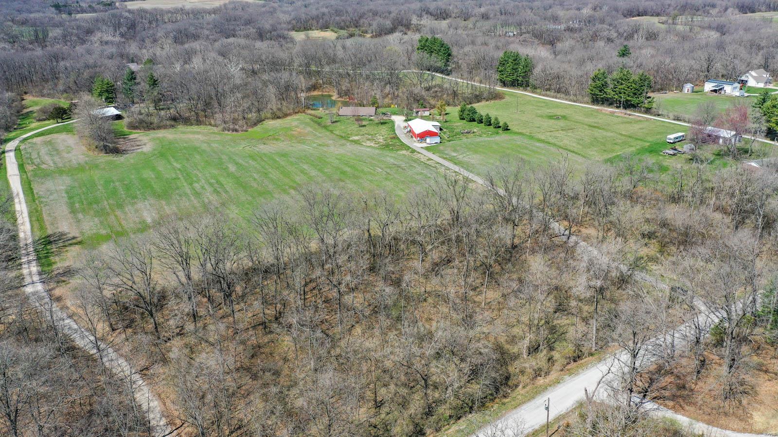 0 Snake Road Dorsey, IL 62021 - Photo 5 of 12