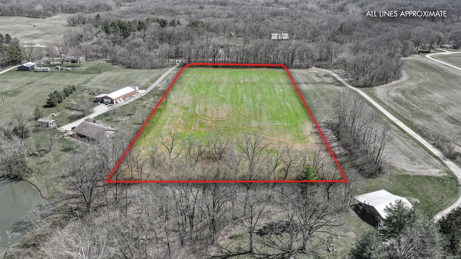 0 Snake Road Dorsey, IL 62021 - Photo 9 of 12