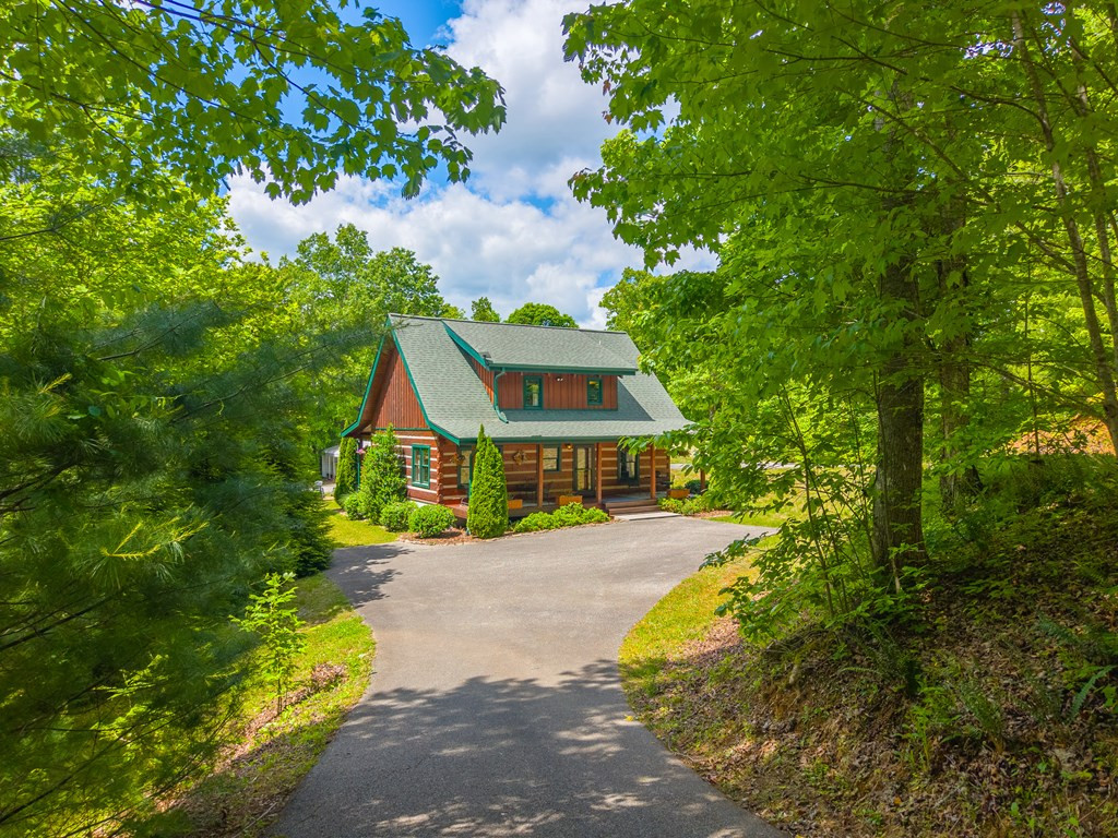 468 Old Yellow Branch Road Robbinsville, NC 28771 - Photo 42 of 60