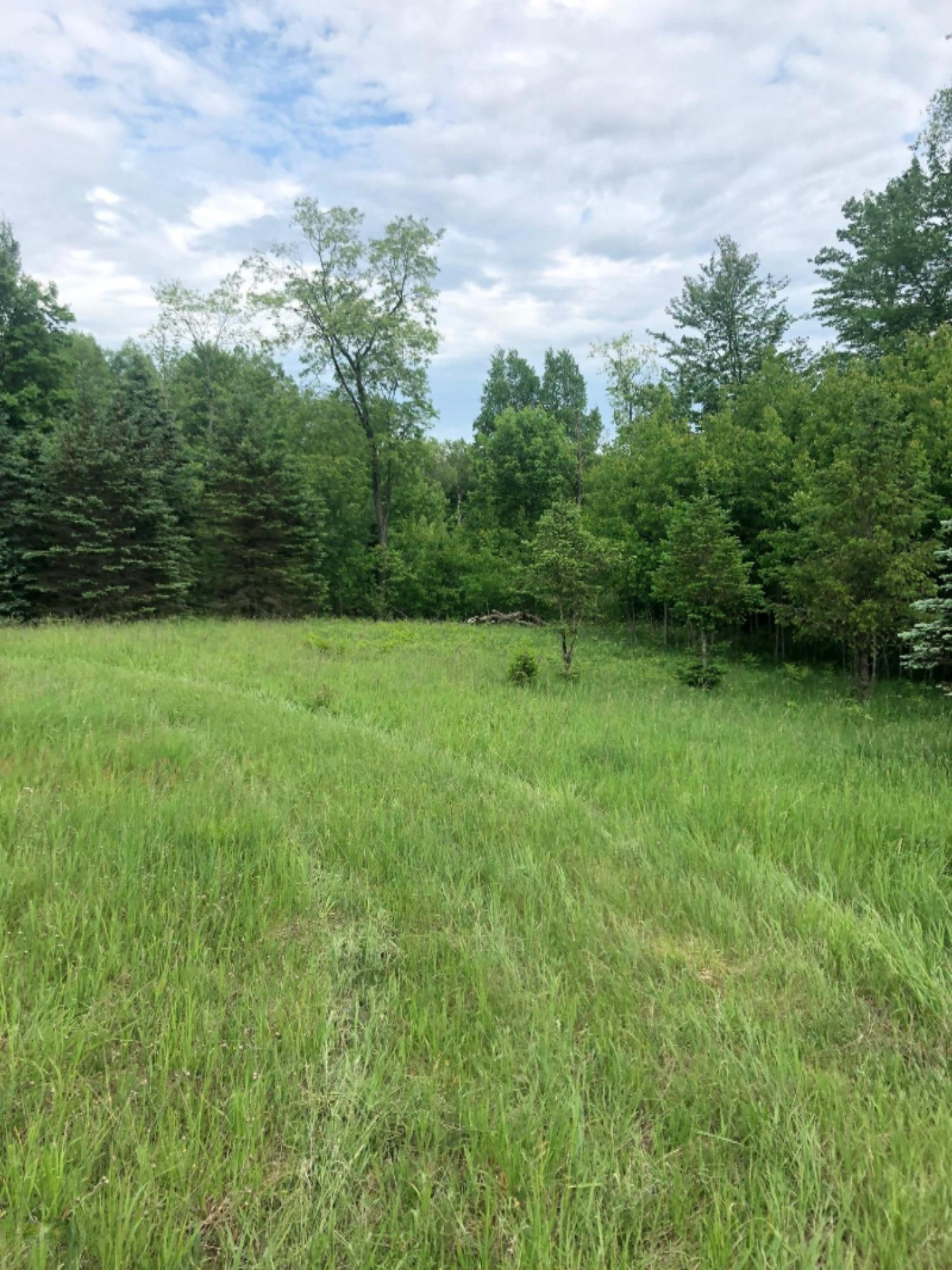 22419 Tustin Road Tustin, MI 49688 - Photo 23 of 36 tustin 27