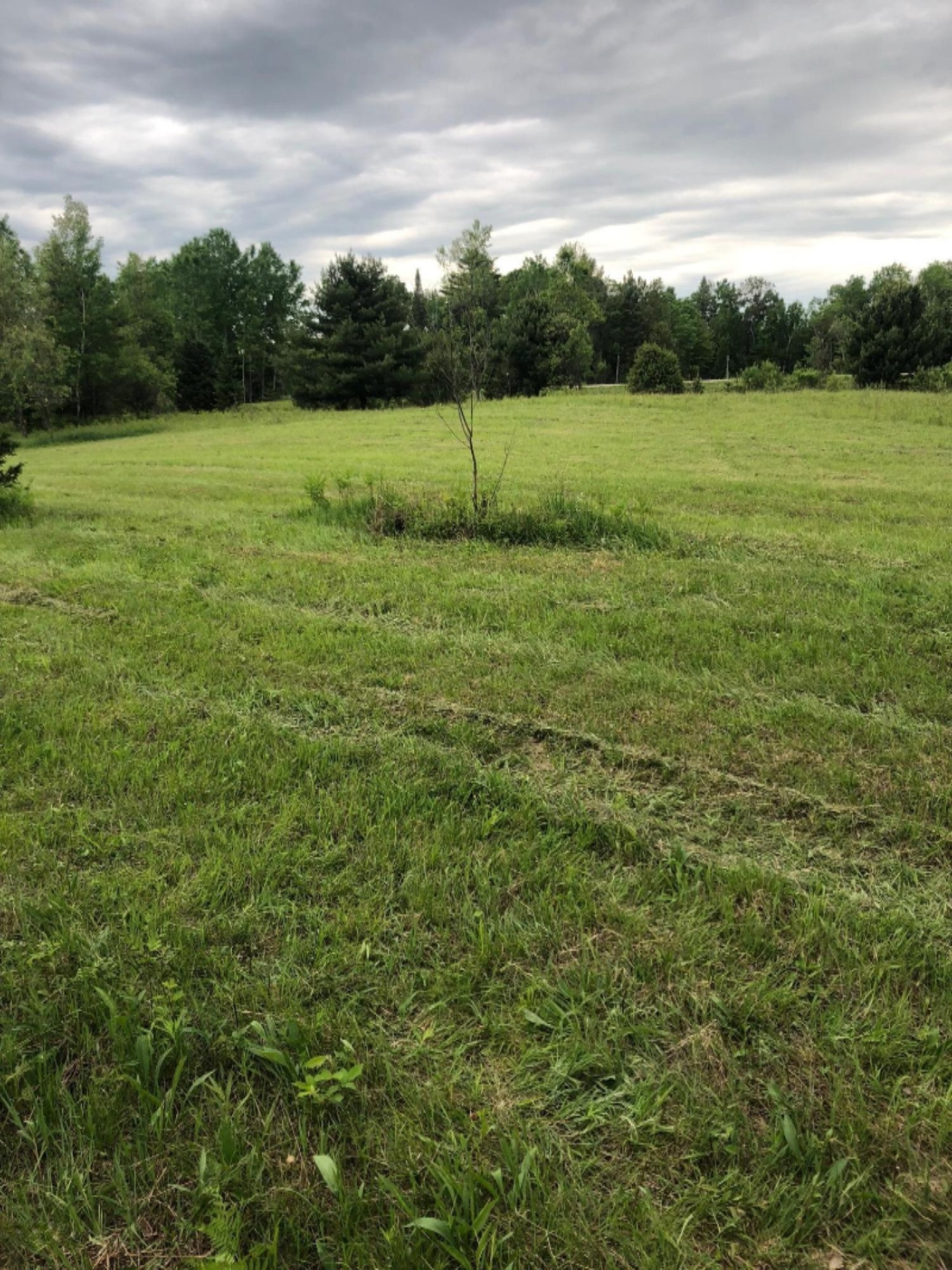 22419 Tustin Road Tustin, MI 49688 - Photo 10 of 36 tustin 11
