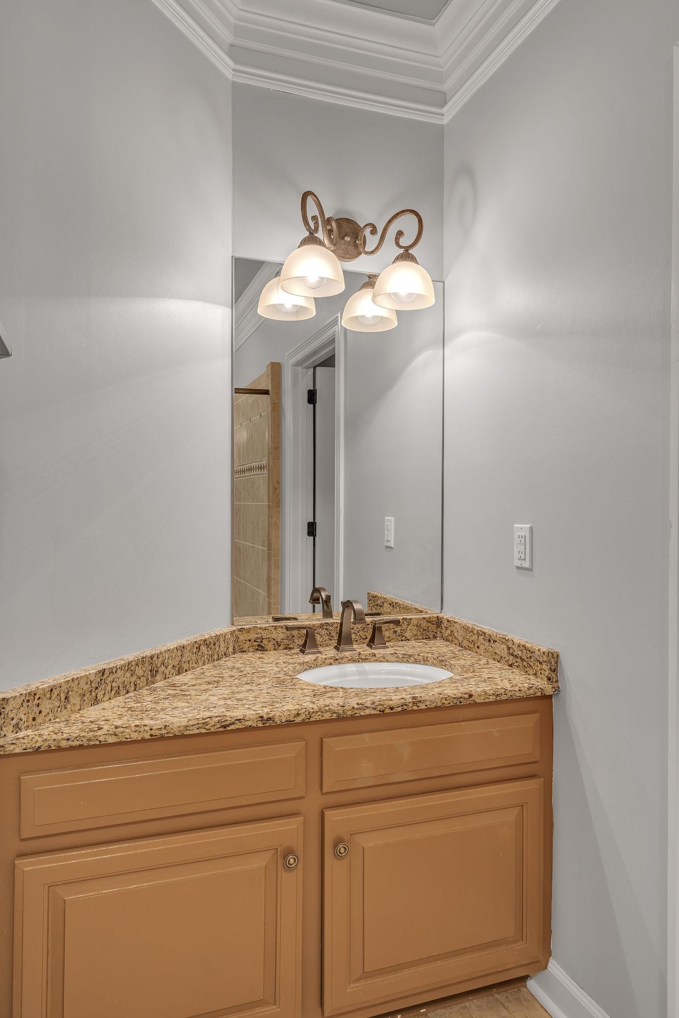 1651 Lawrence Lane Springfield, TN 37172 - Photo 29 of 56 a bathroom with a granite countertop sink and a mirror
