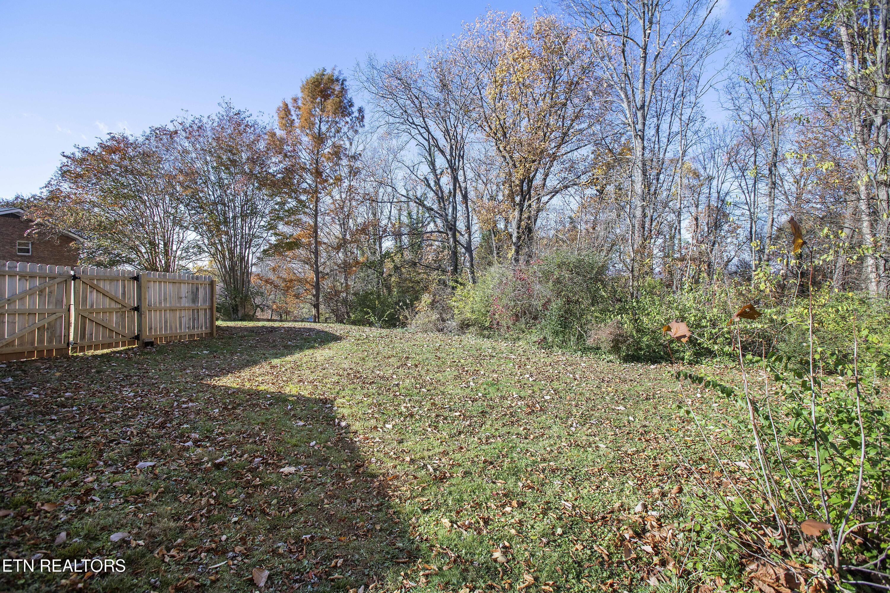 416 Kendall Road Knoxville, TN 37919 - Photo 7 of 25 IMG_1294