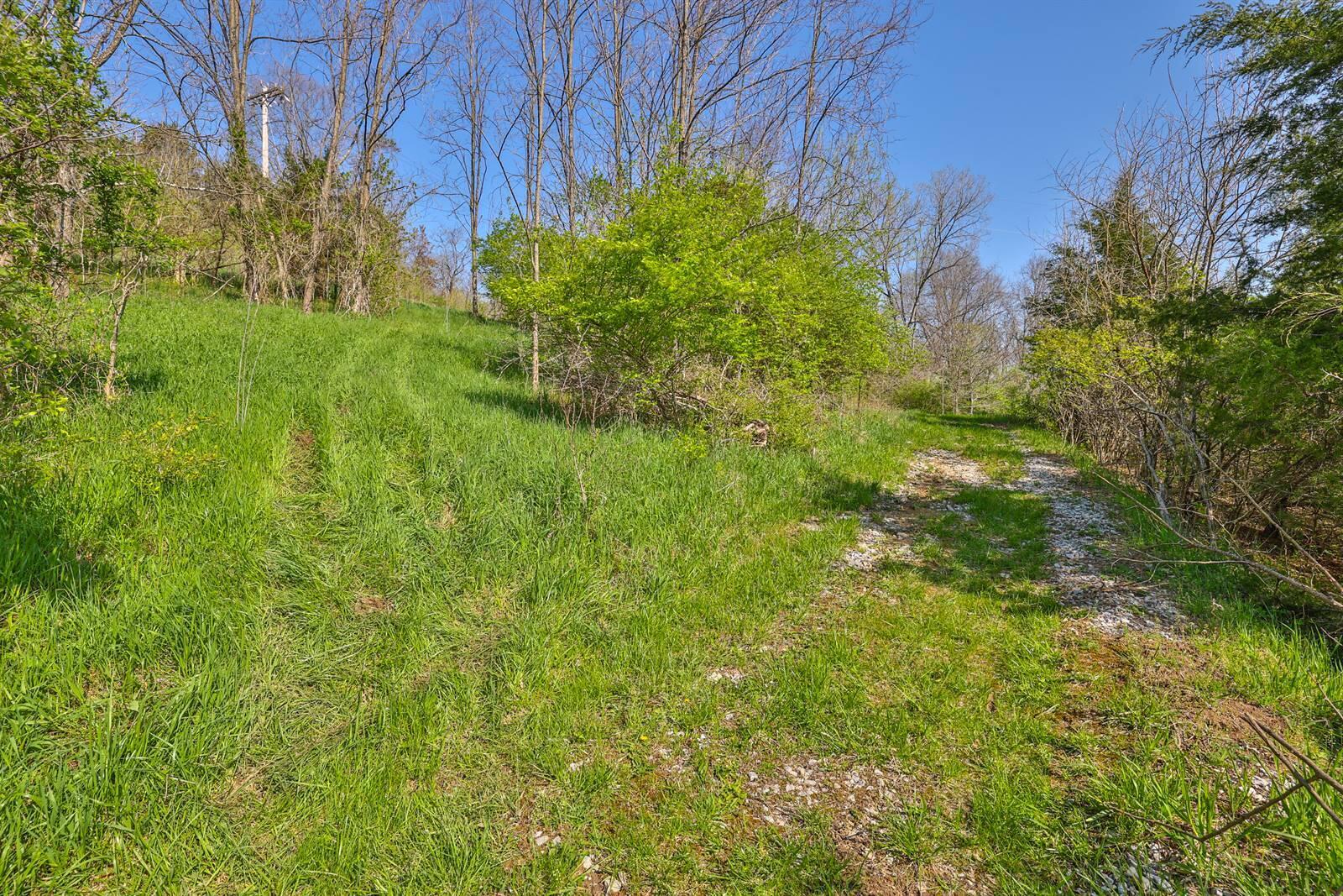 8726 Washington Trace Road California, KY 41007 - Photo 34 of 38