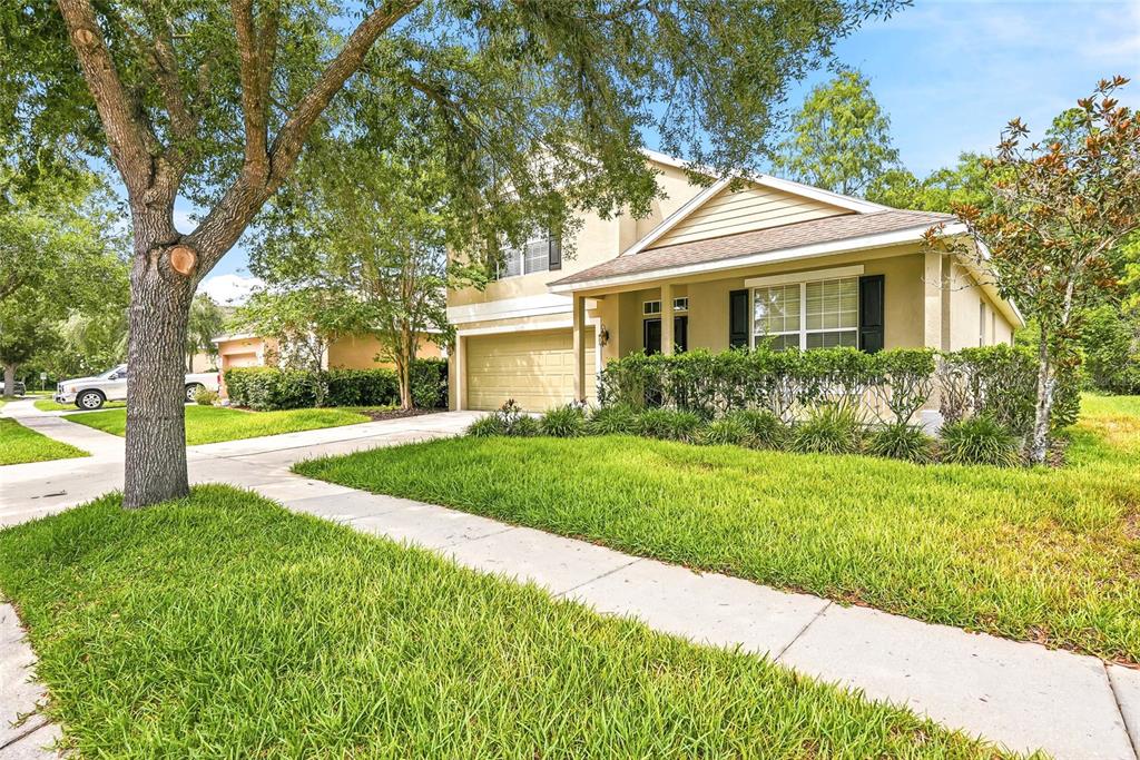 12230 Colony Lakes Boulevard New Port Richey, FL 34654 - Photo 4 of 56
