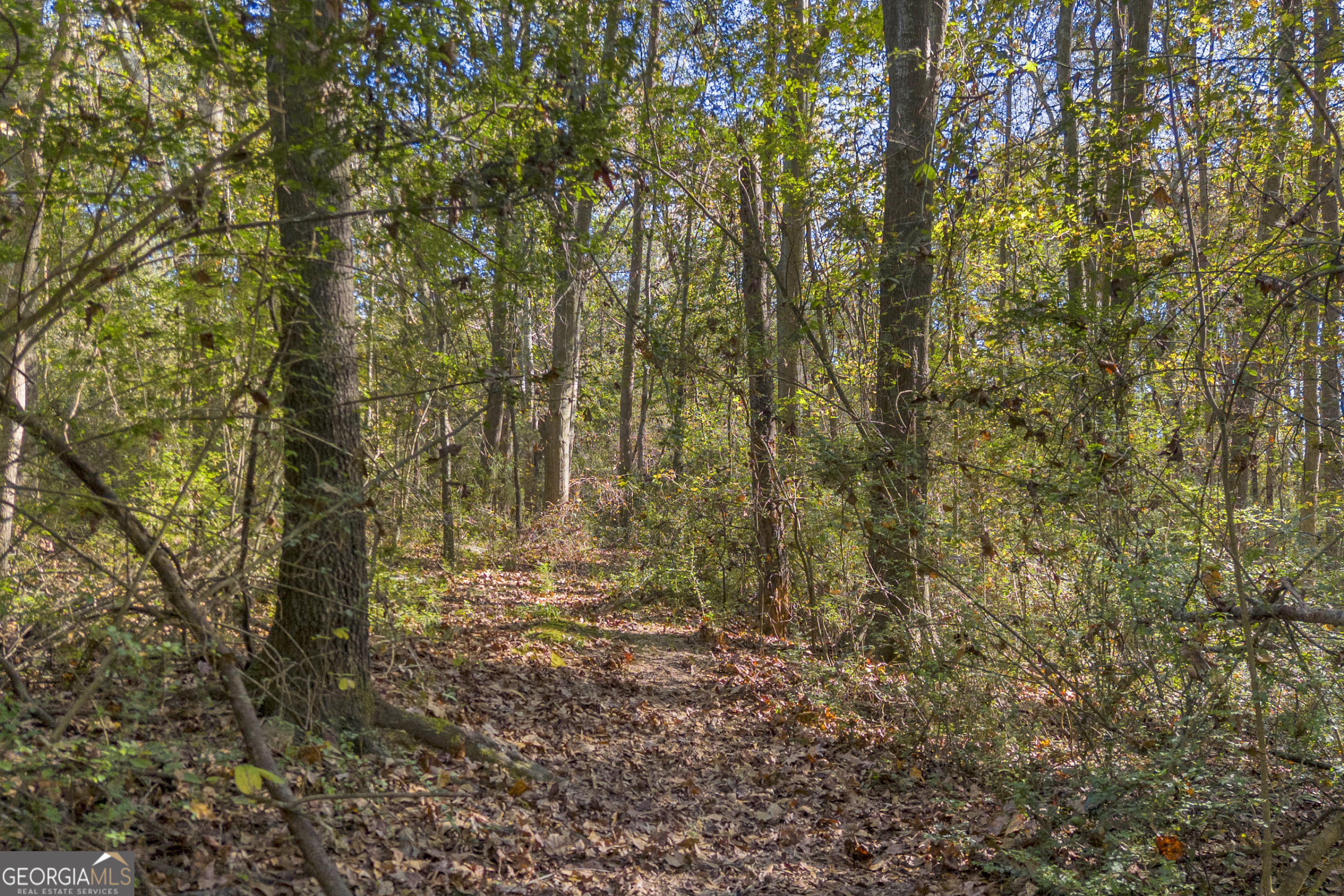 0 Rice Creek Road Canon, GA 30520 - Photo 4 of 37