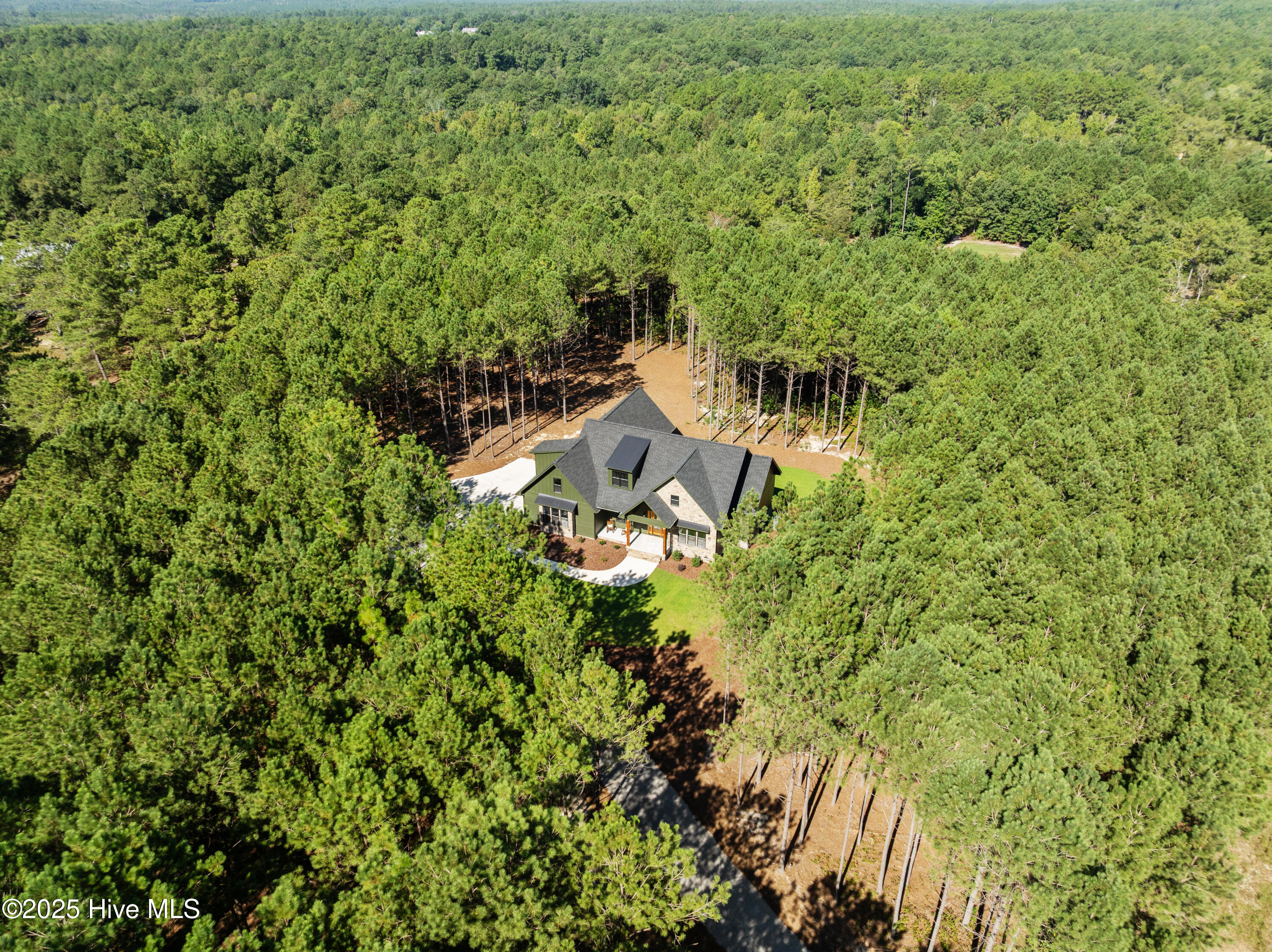 445 Oldham Road West End, NC 27376 - Photo 2 of 58 Privacy abounds