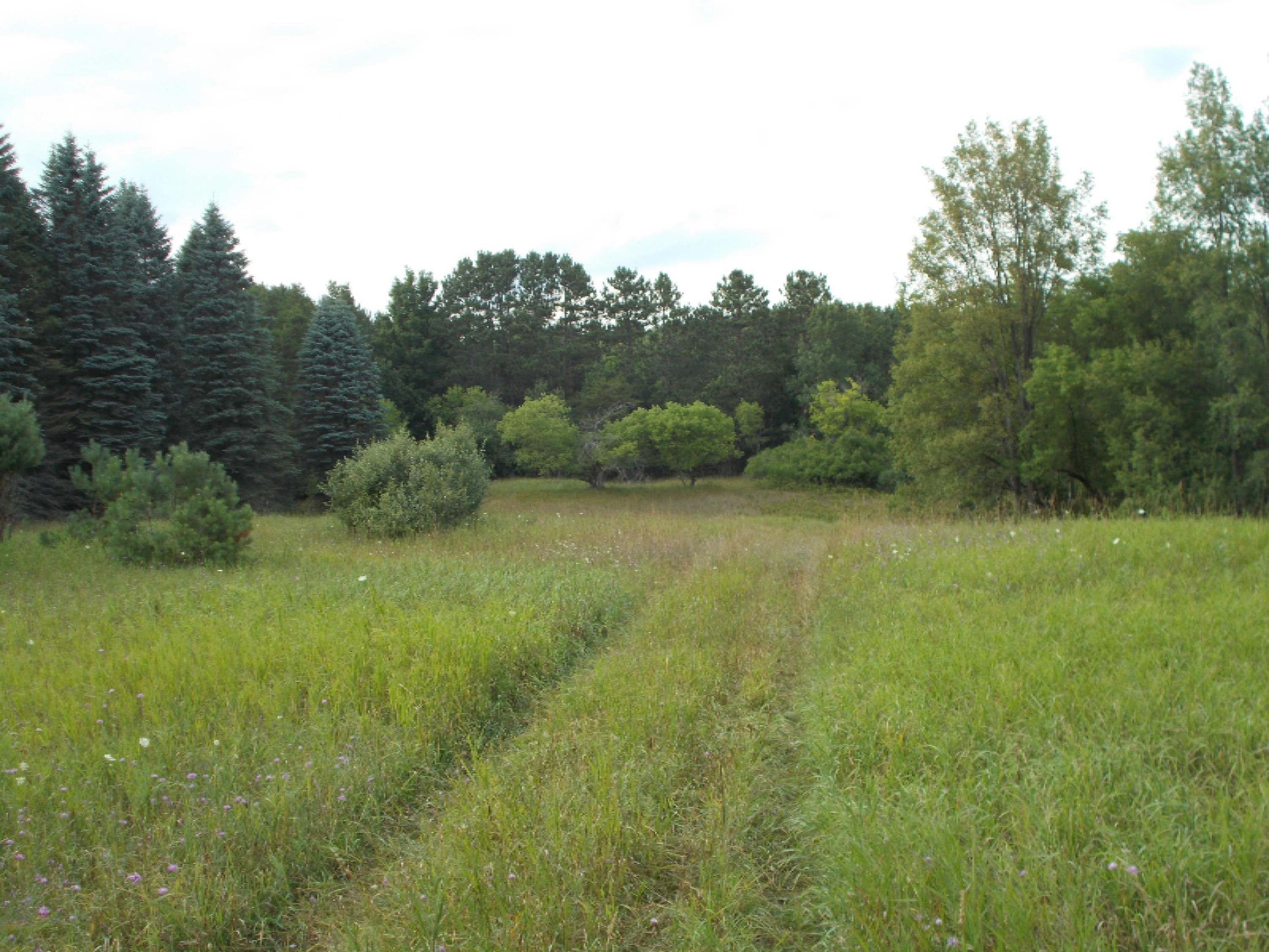 9032 North Custer Road Free Soil, MI 49411 - Photo 11 of 14 miszynski 011