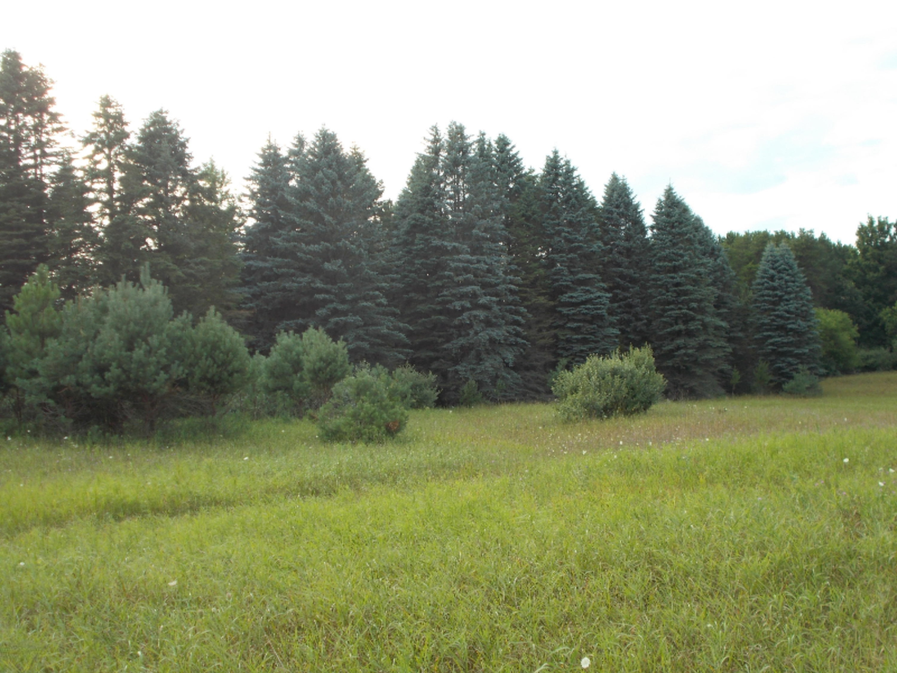 9032 North Custer Road Free Soil, MI 49411 - Photo 13 of 14 miszynski 013