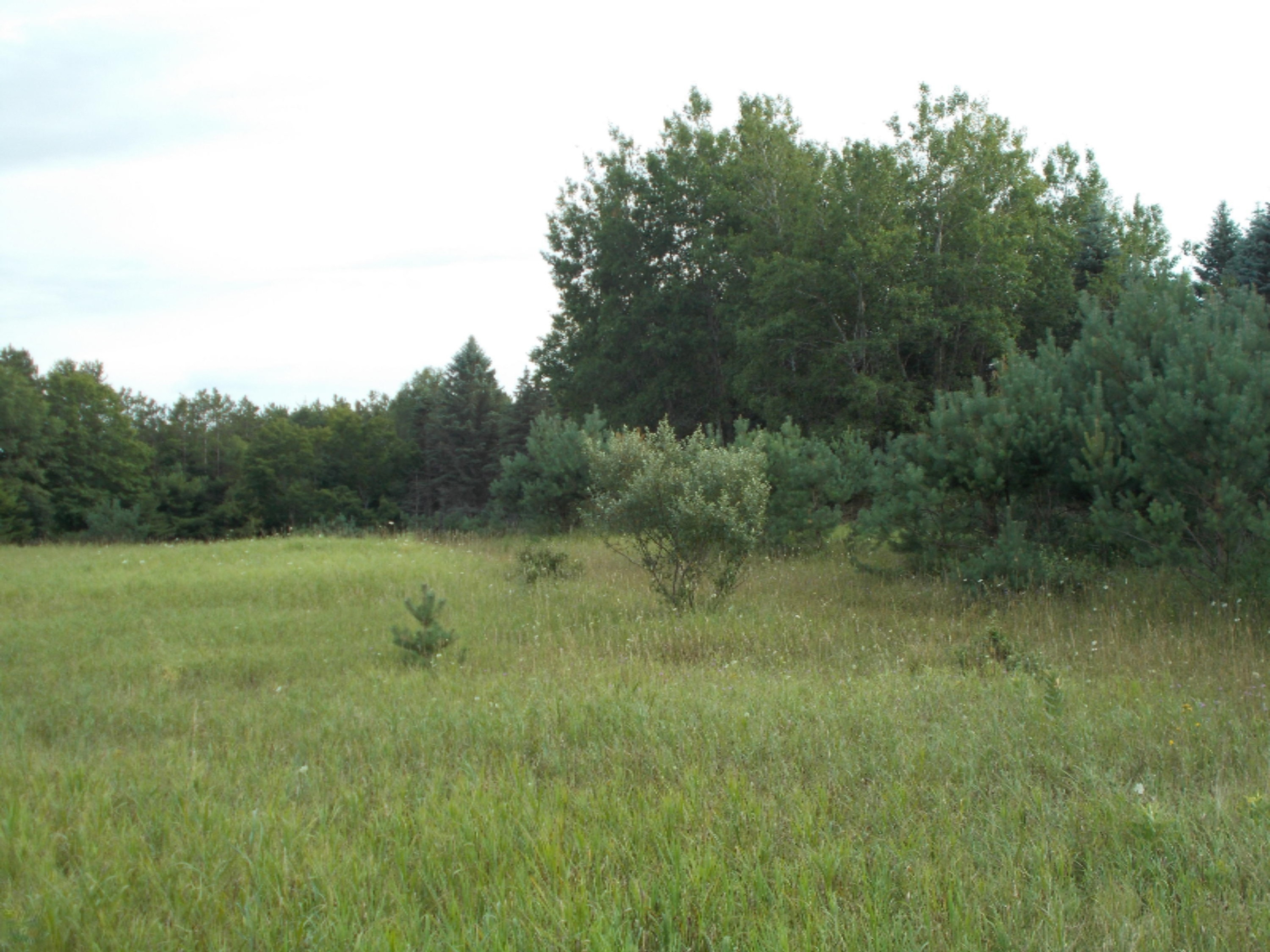 9032 North Custer Road Free Soil, MI 49411 - Photo 14 of 14 miszynski 014